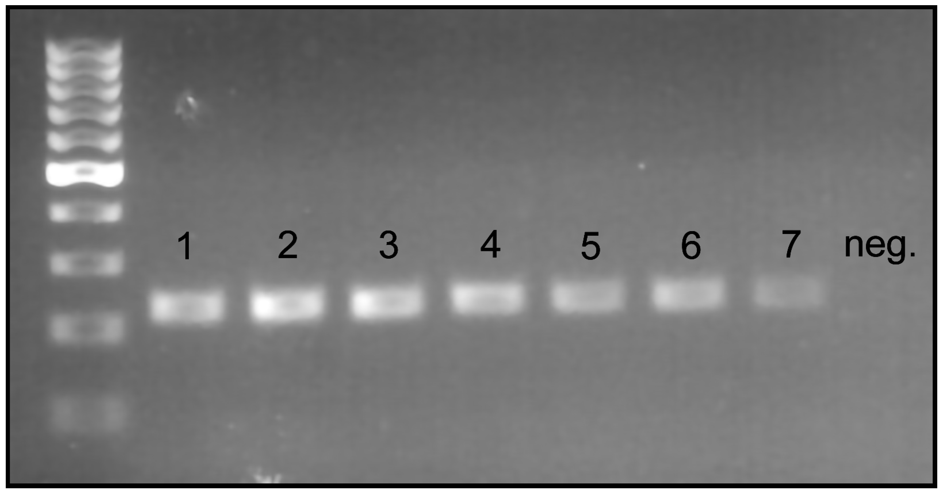 Insects 15 00320 g004 Insects 15 00320 g004