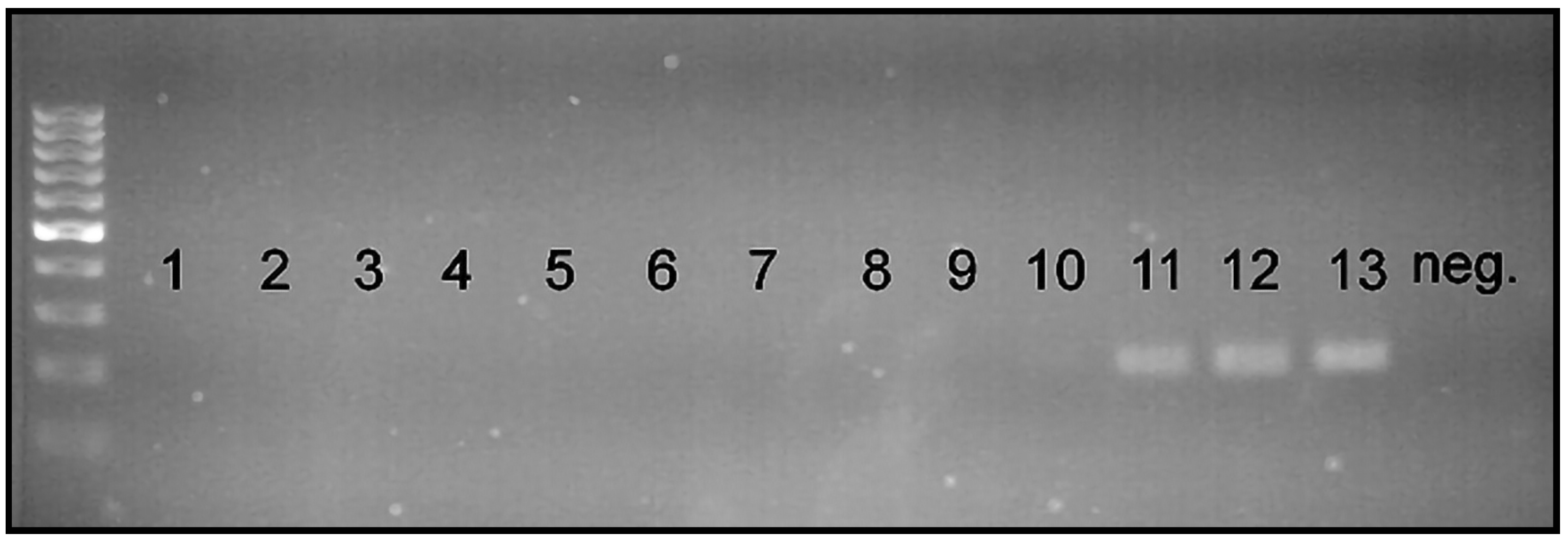 Insects 15 00320 g006 Insects 15 00320 g006