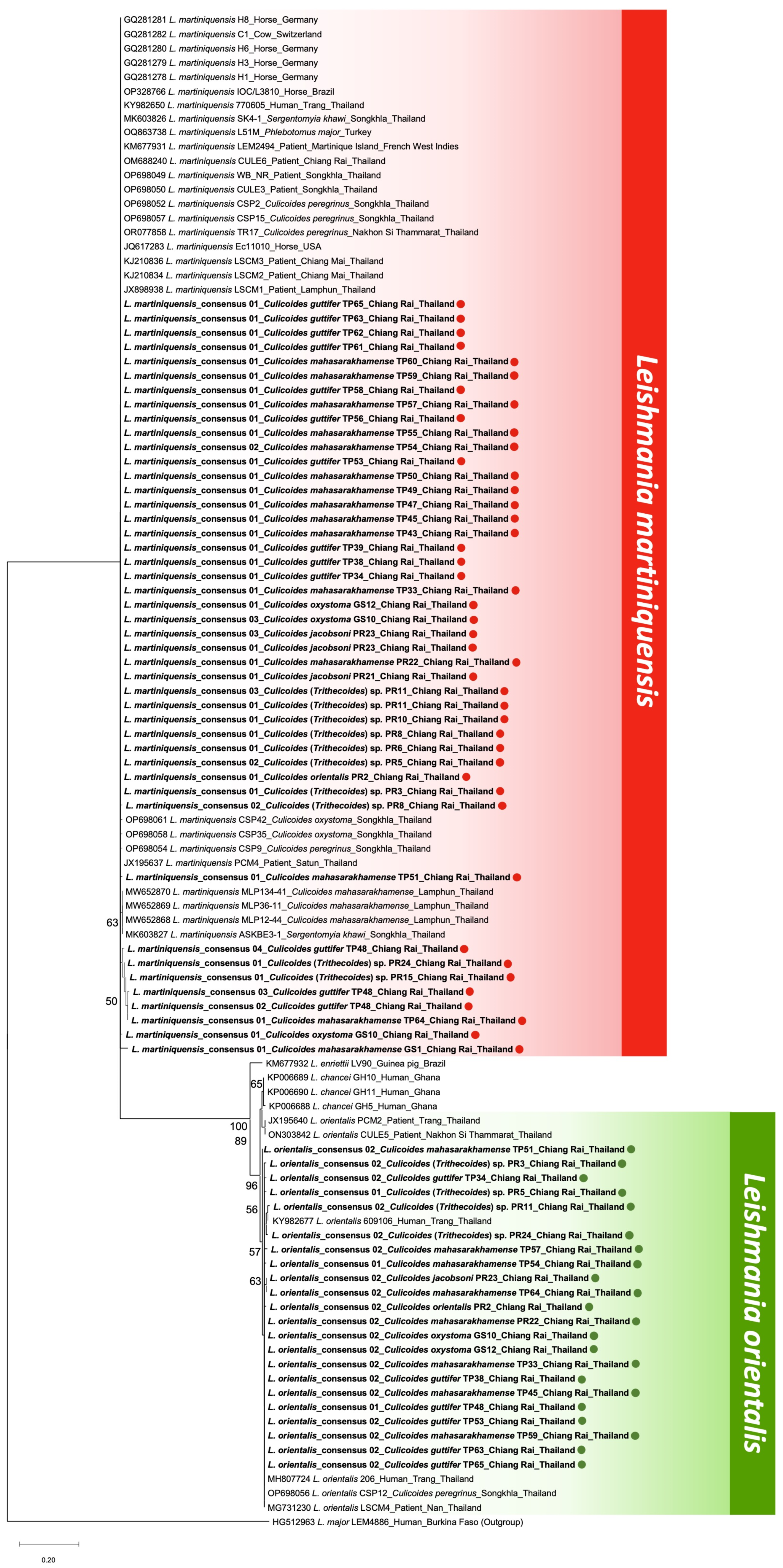 Insects 15 00327 g003