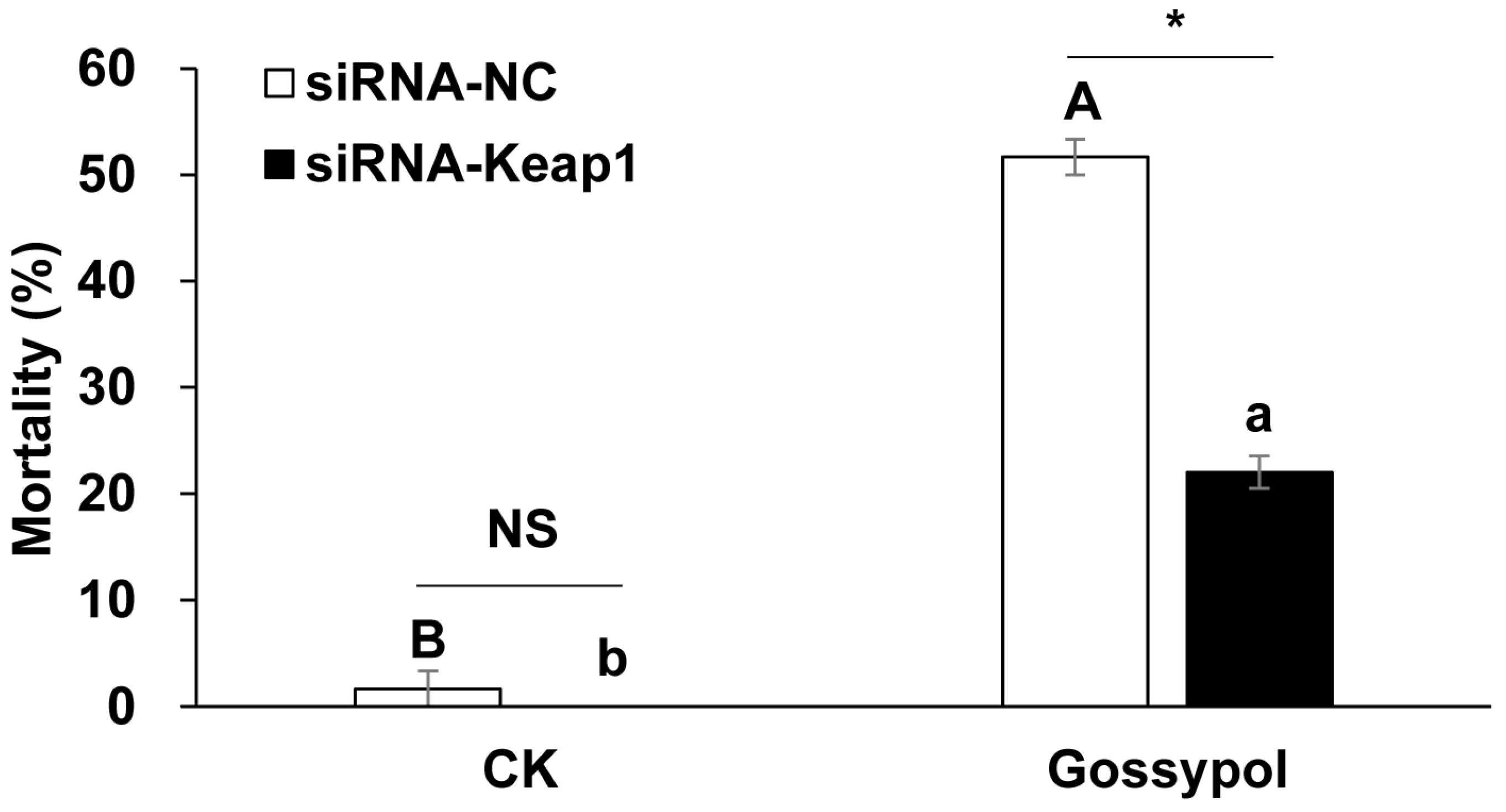 Insects 15 00328 g002