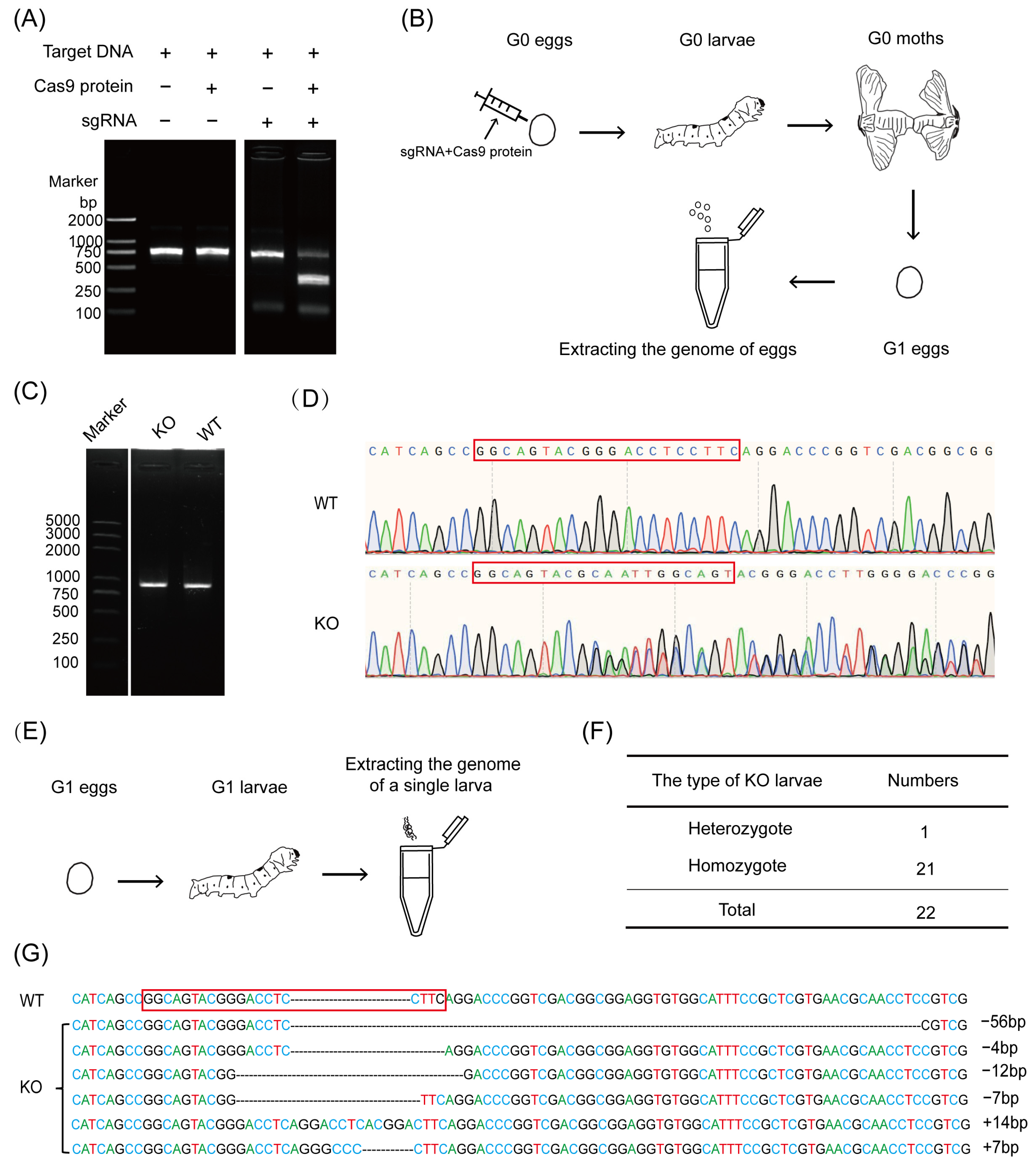 Insects 15 00339 g002