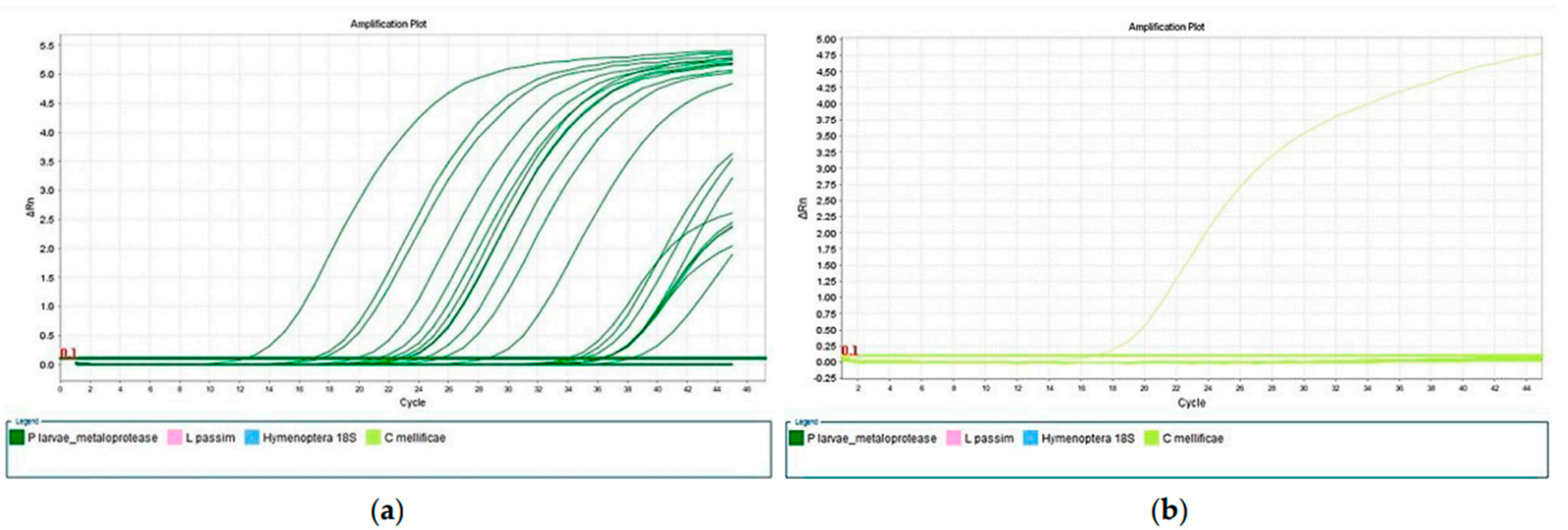 Insects 15 00350 g001