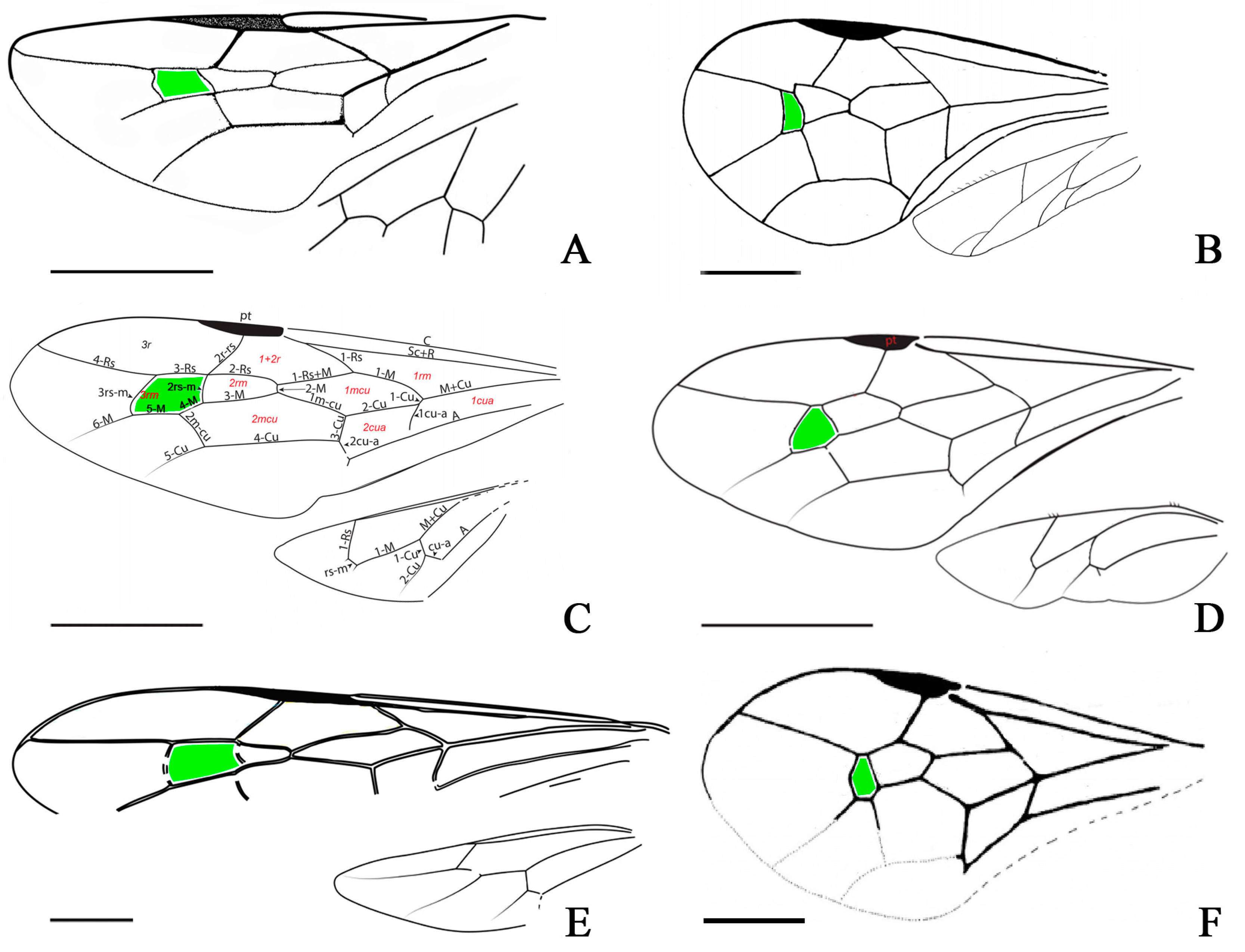 Insects 15 00351 g005