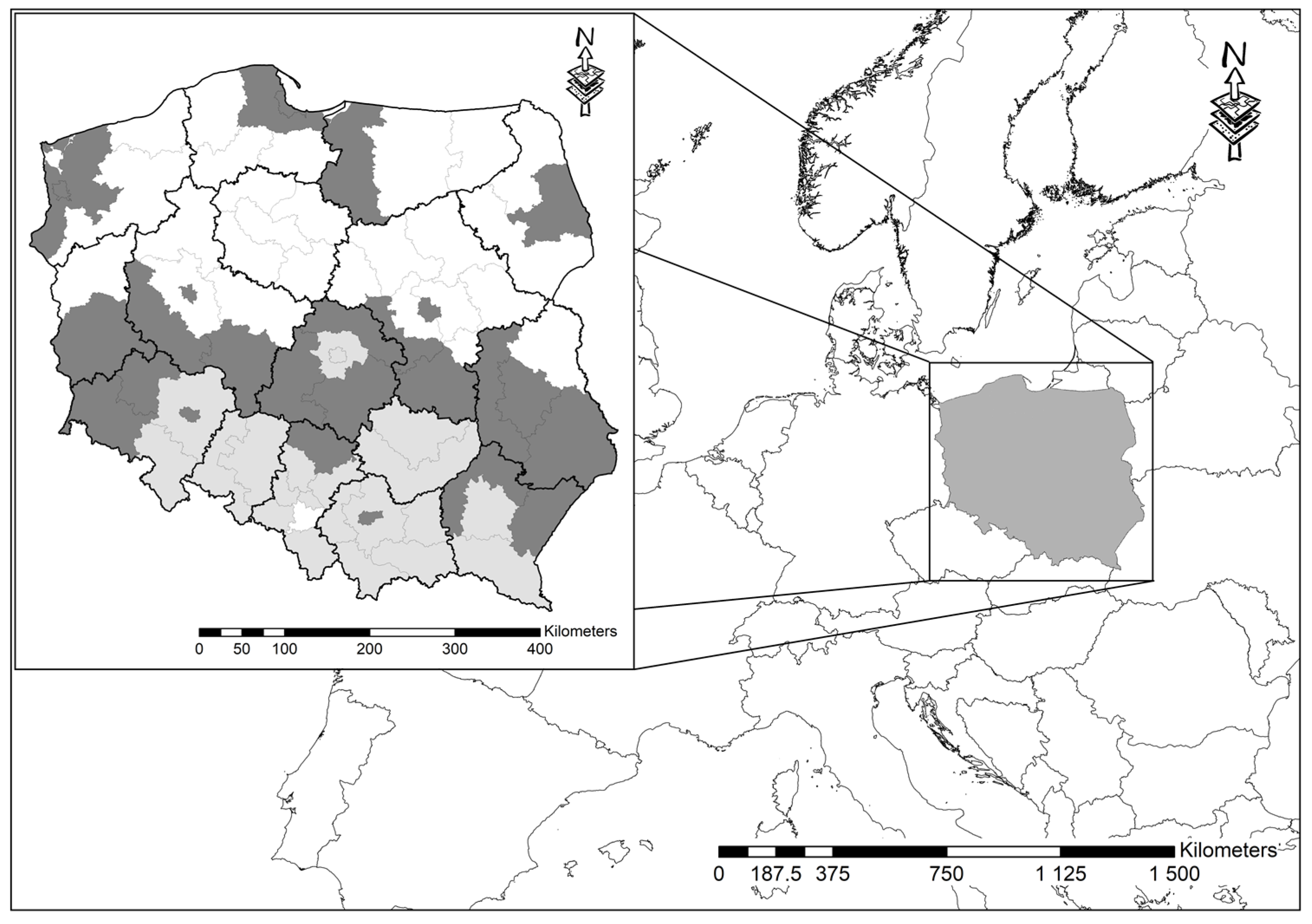 Insects 15 00353 g001