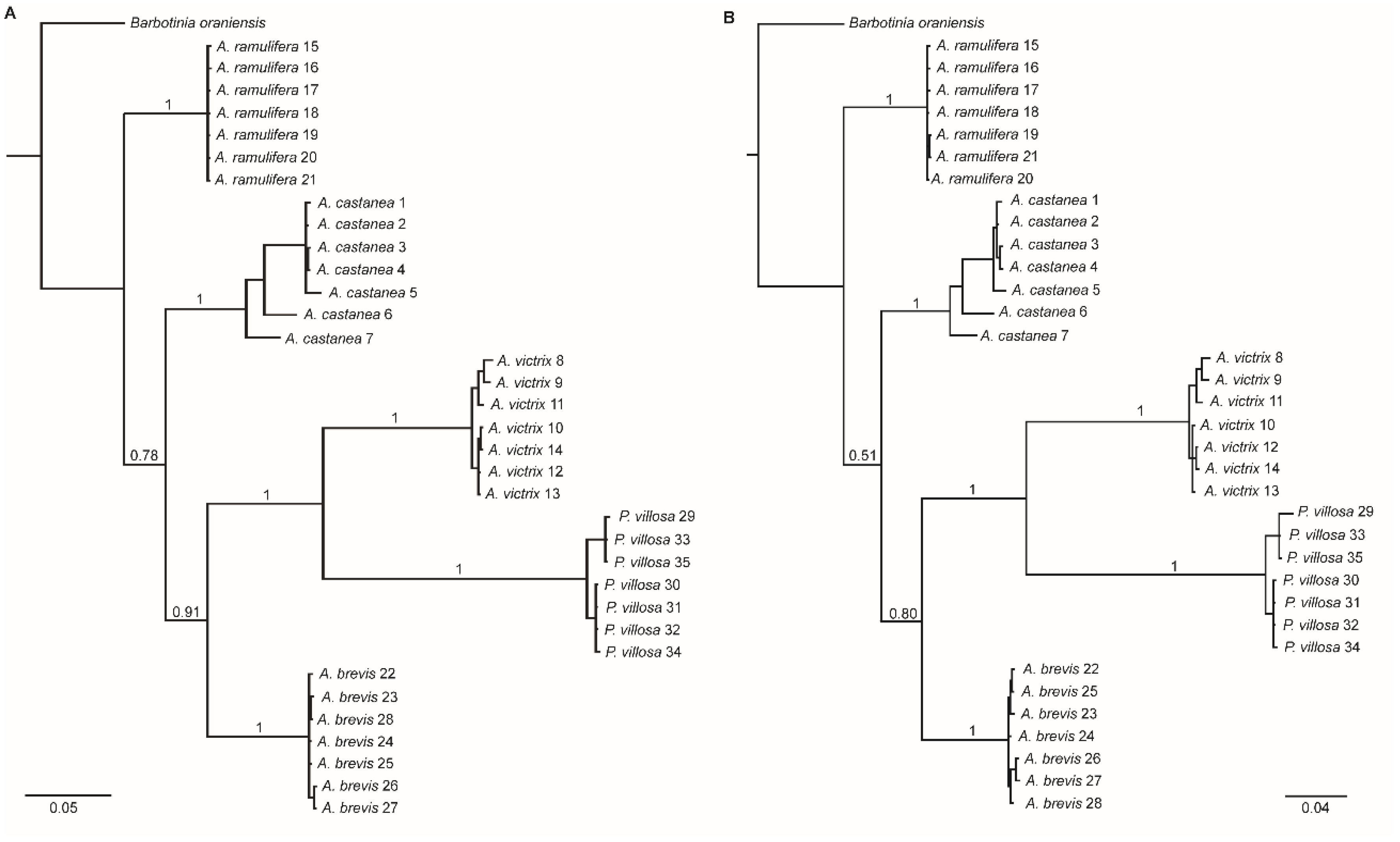 Insects 15 00354 g006