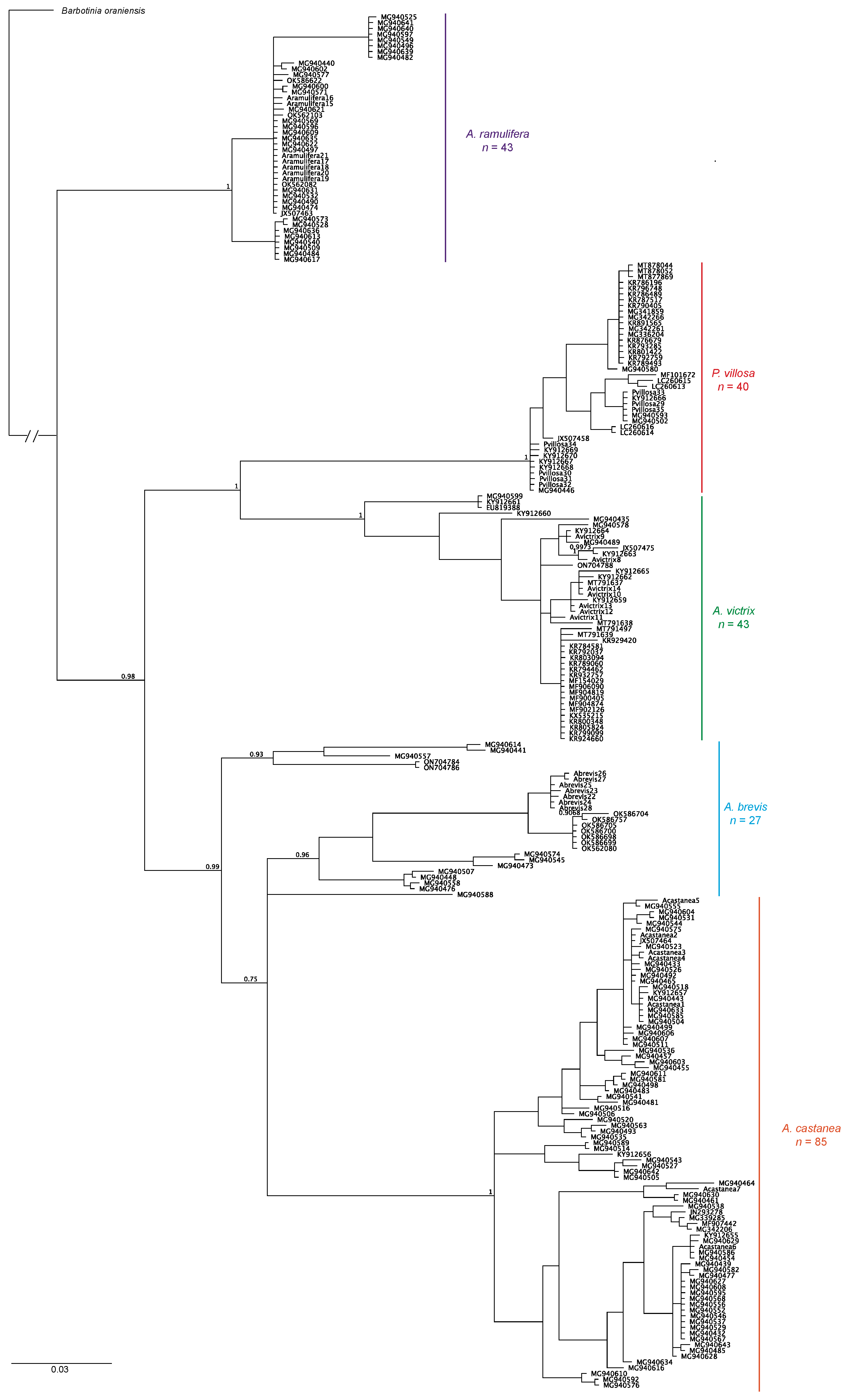 Insects 15 00354 g007