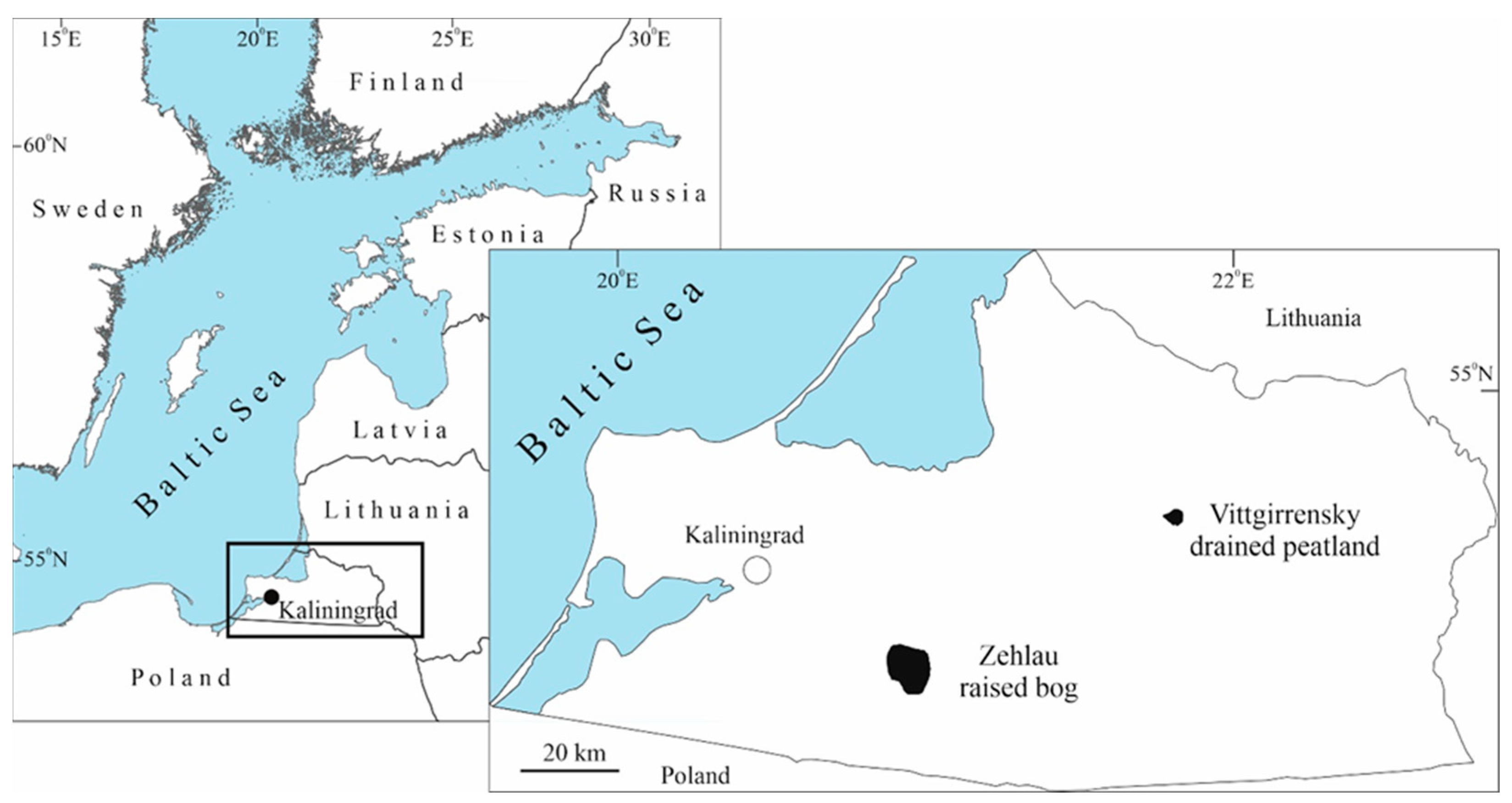 Insects 15 00356 g001