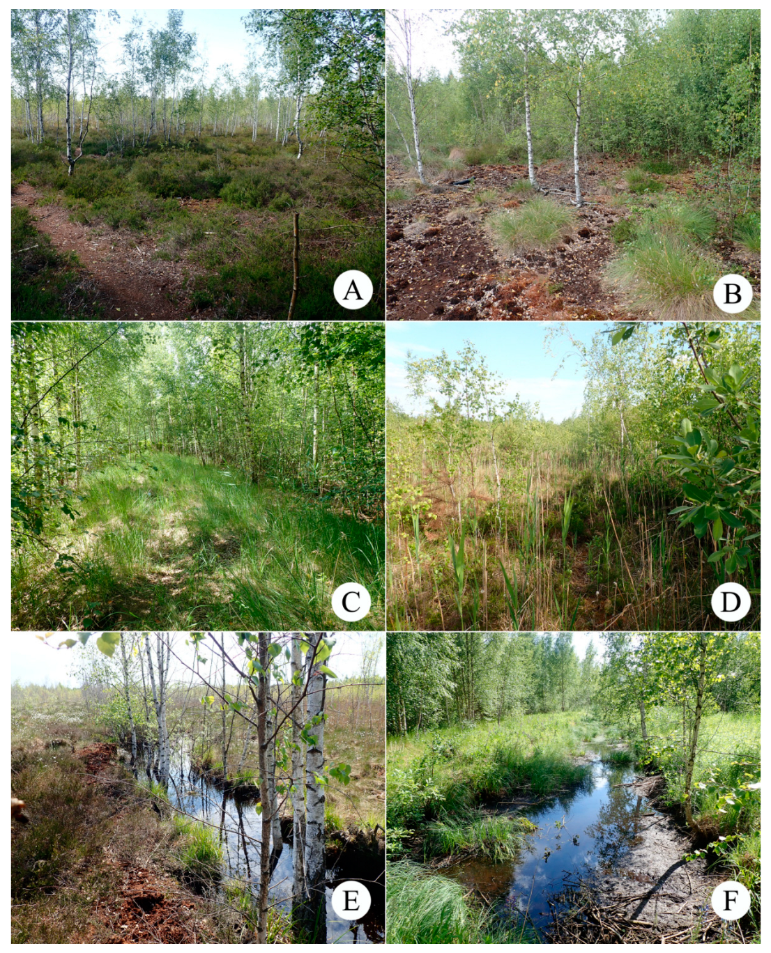 Insects 15 00356 g003