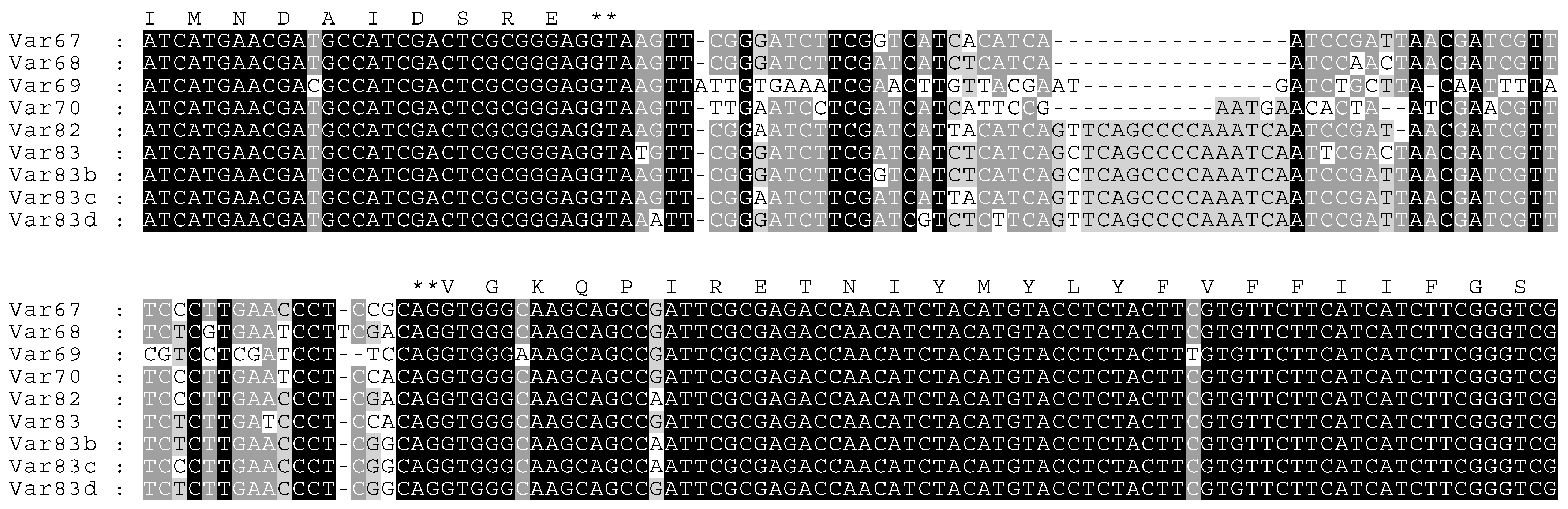 Insects 15 00358 g005