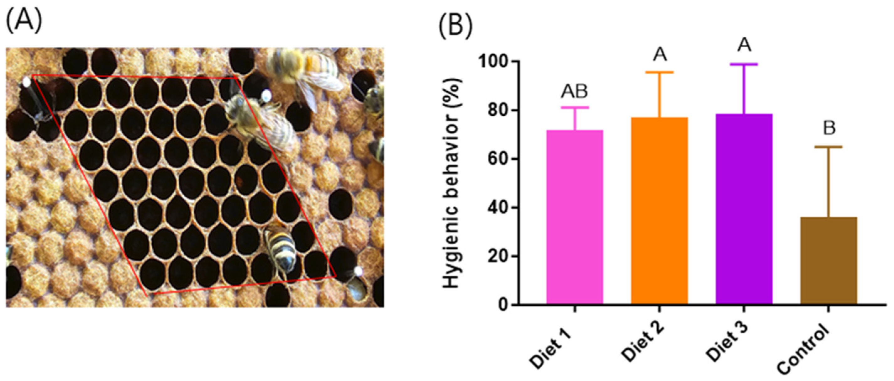 Insects 15 00361 g007