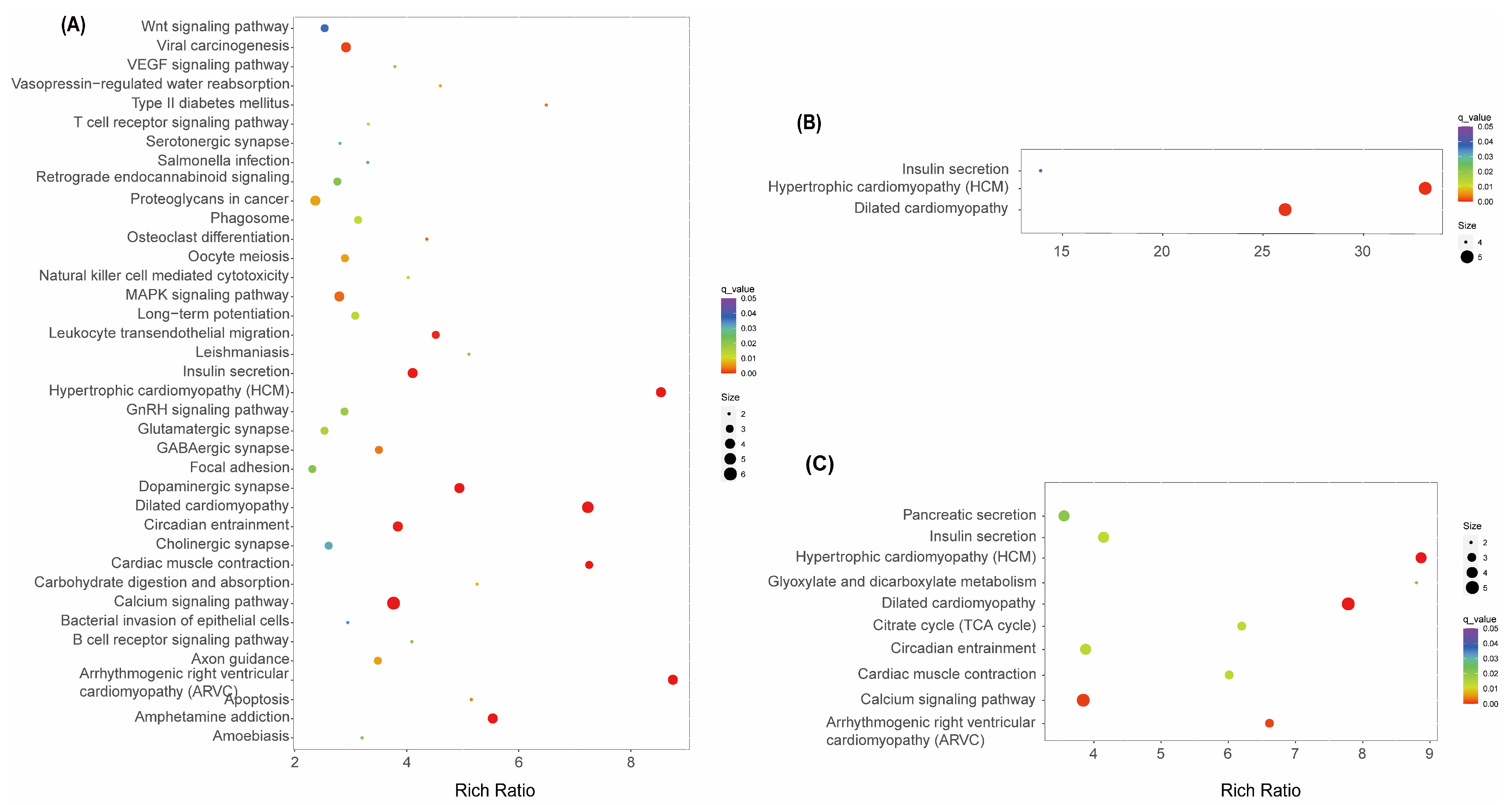 Insects 15 00367 g006