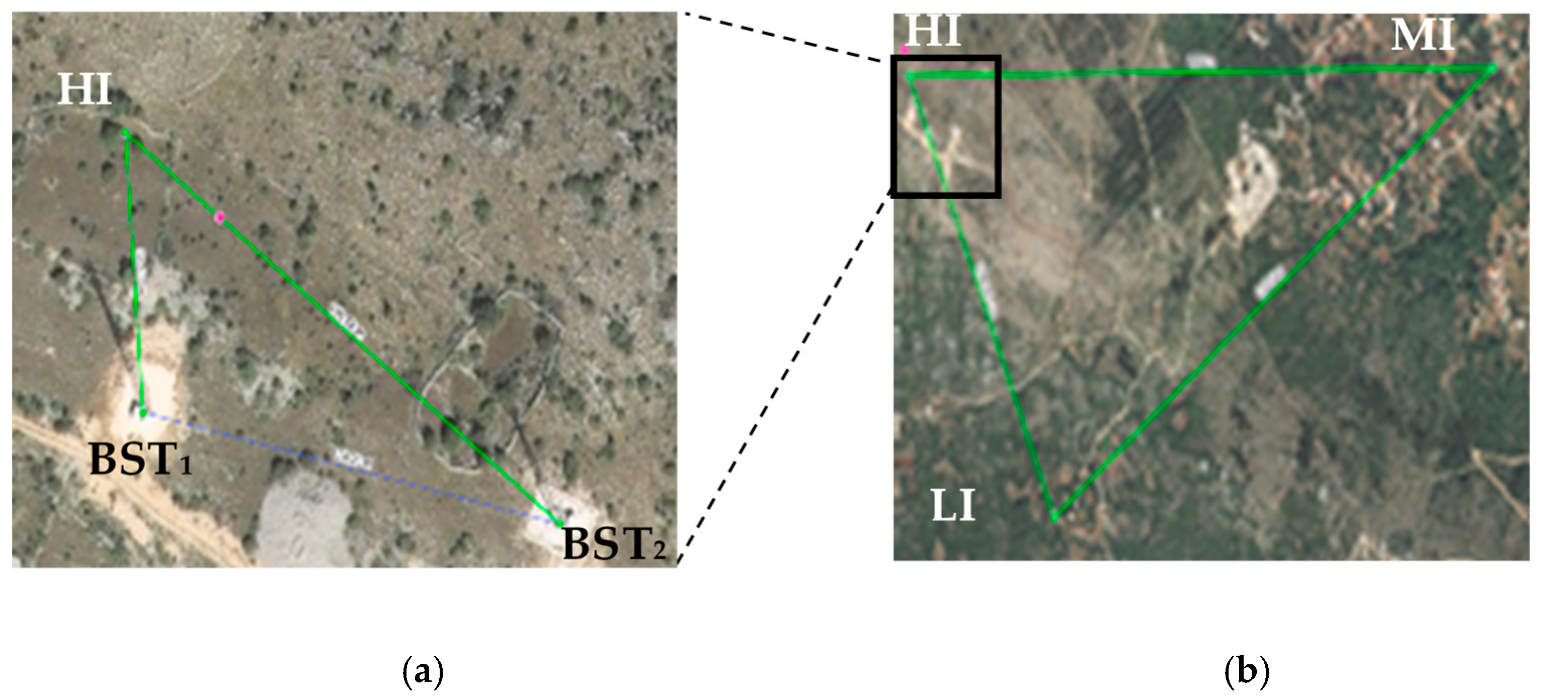 Insects 15 00372 g001