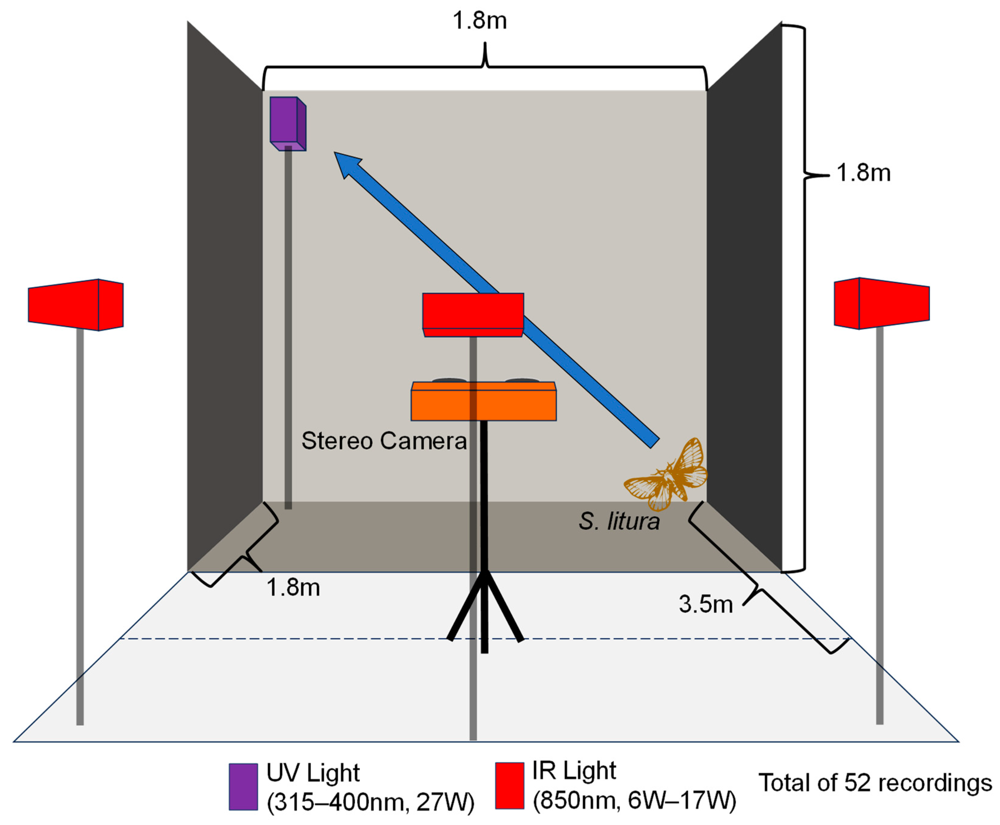 Insects 15 00373 g001