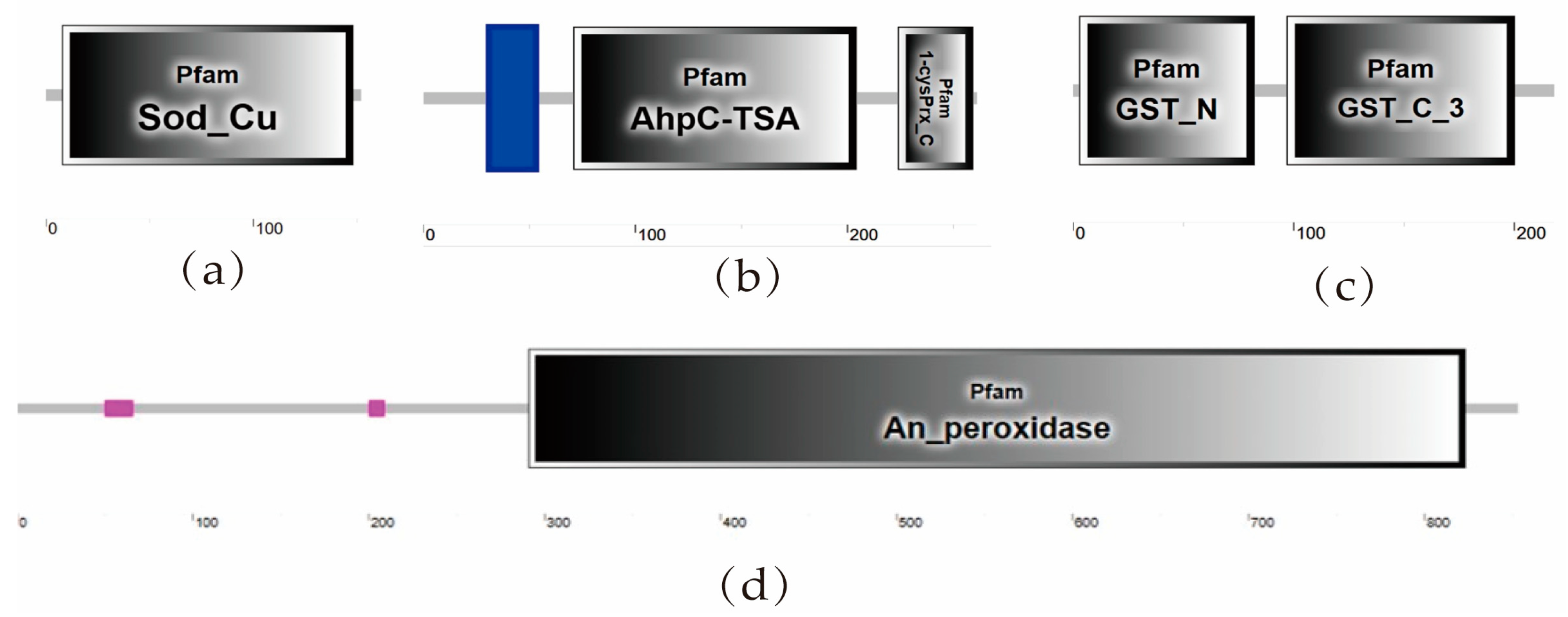 Insects 15 00381 g001
