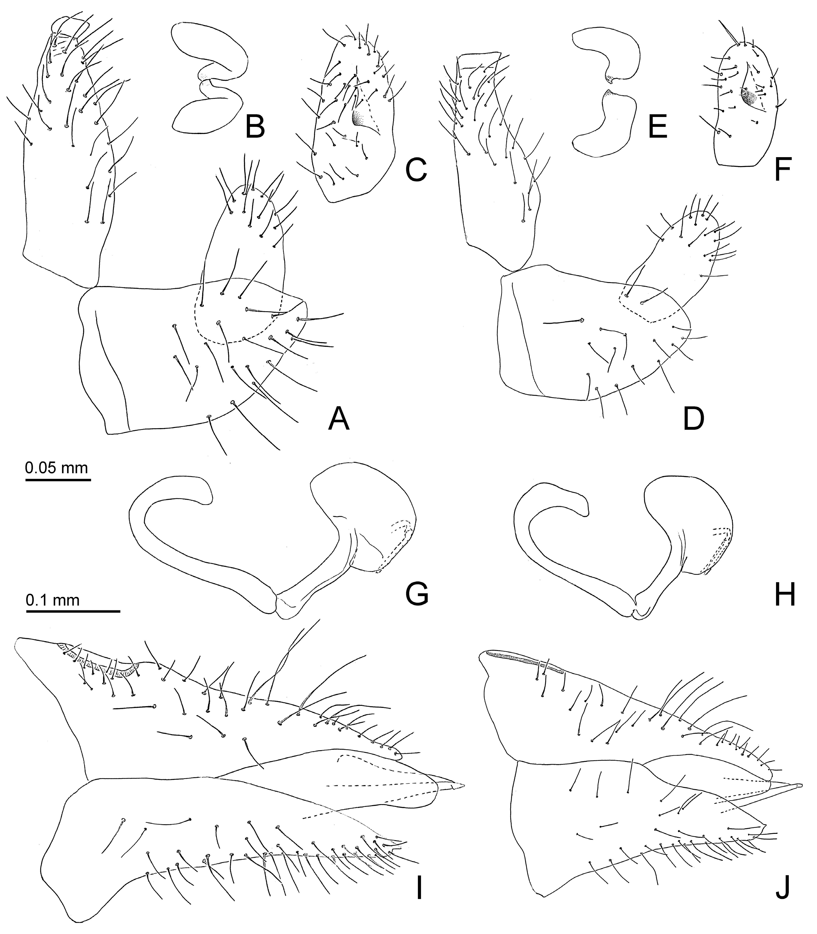 Insects 15 00382 g005