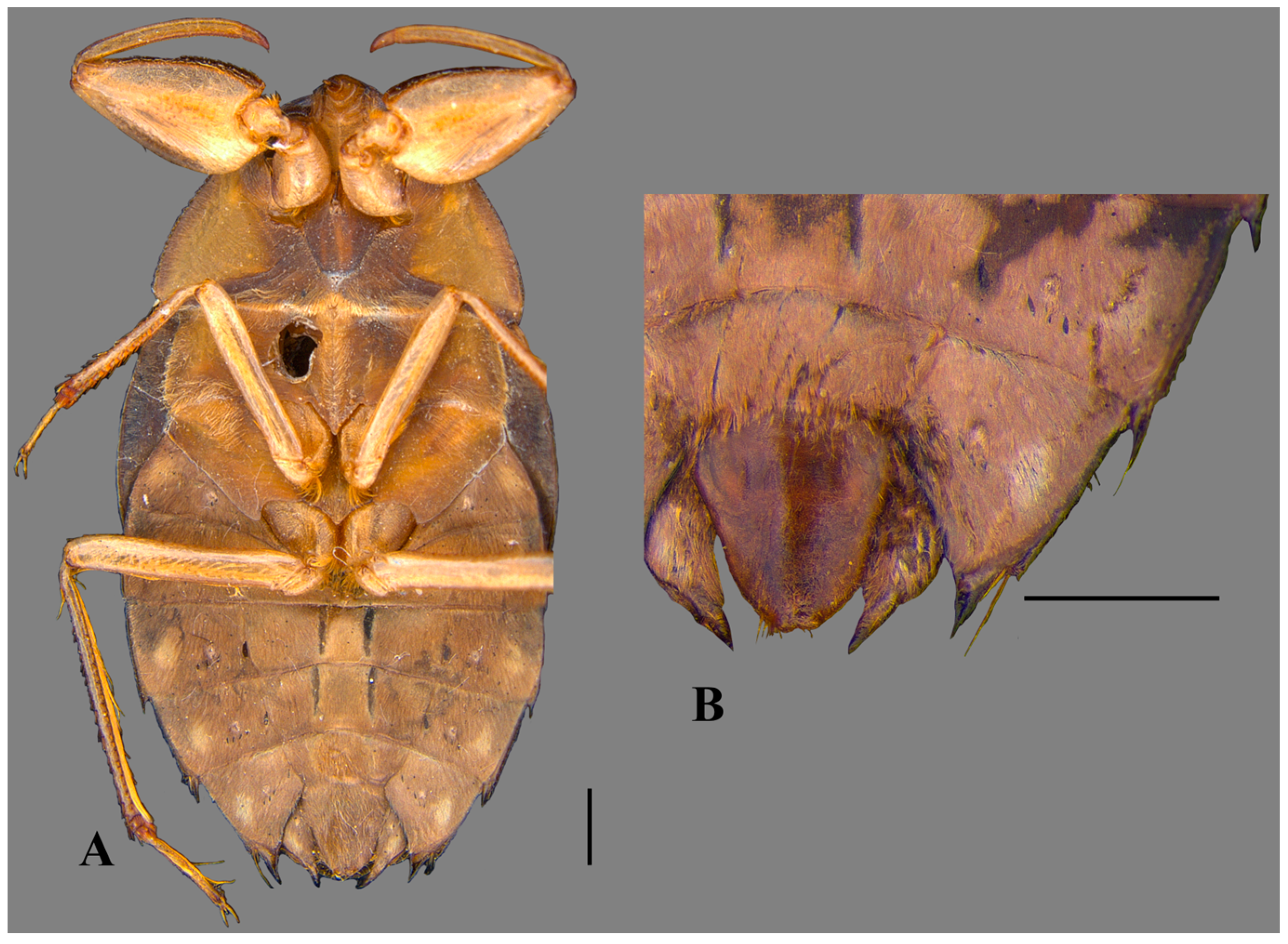 Insects 15 00383 g003