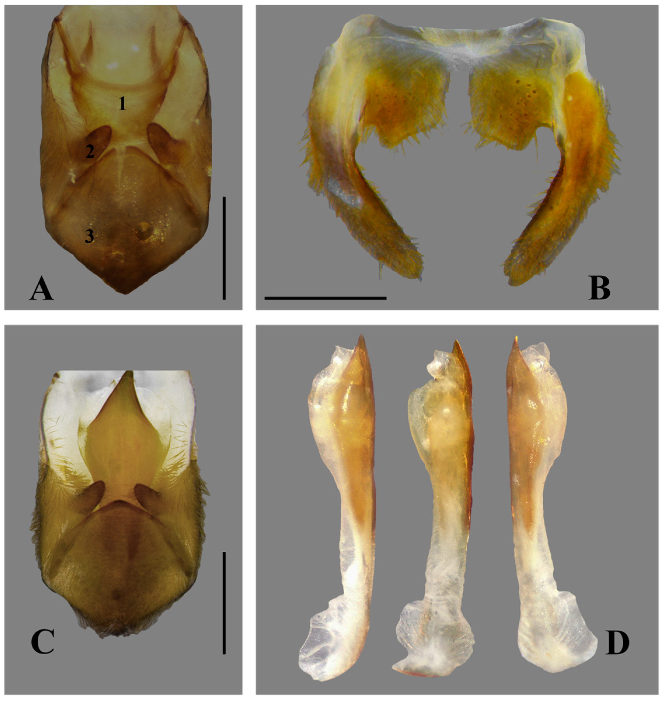 Insects 15 00383 g004