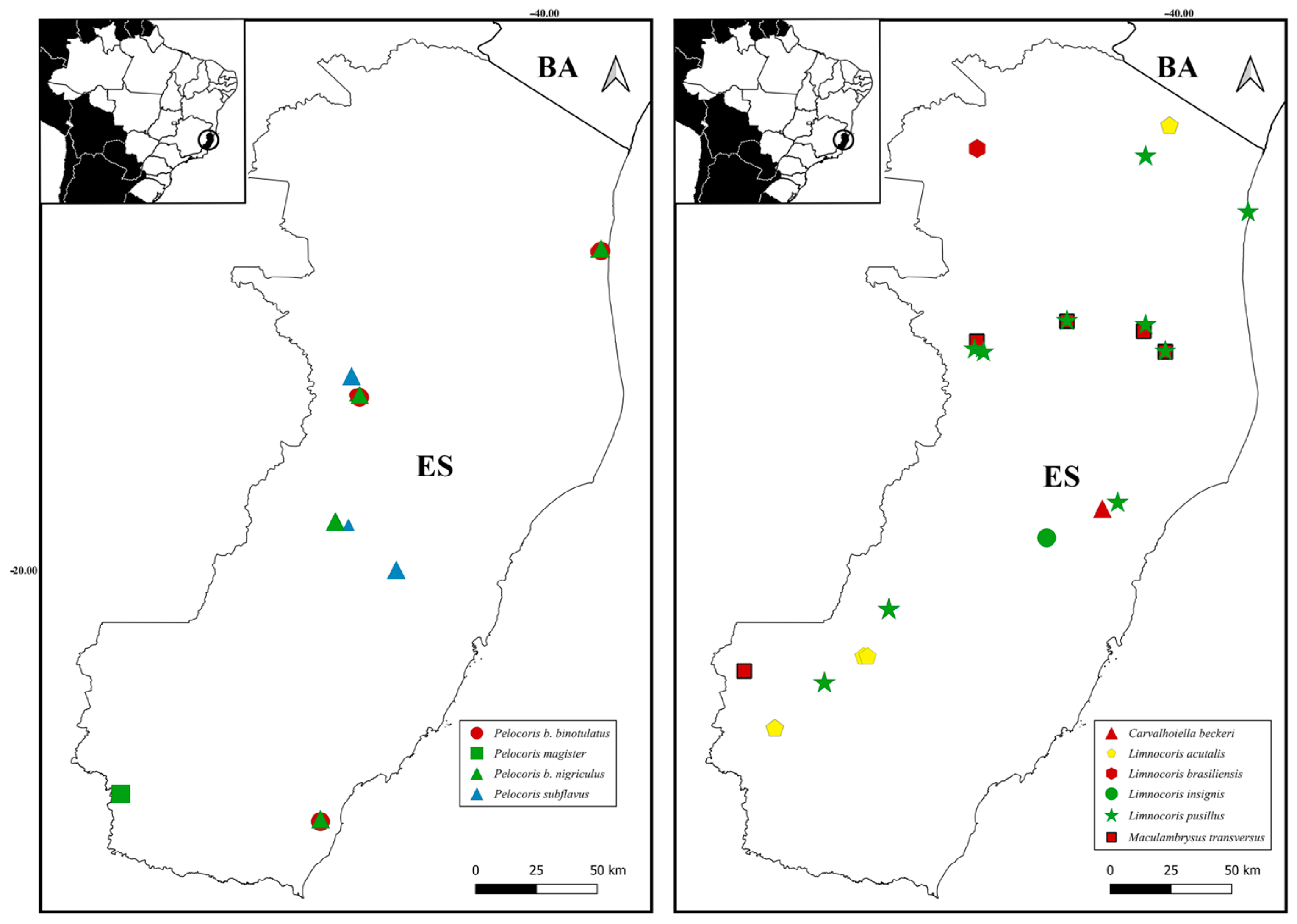 Insects 15 00383 g007