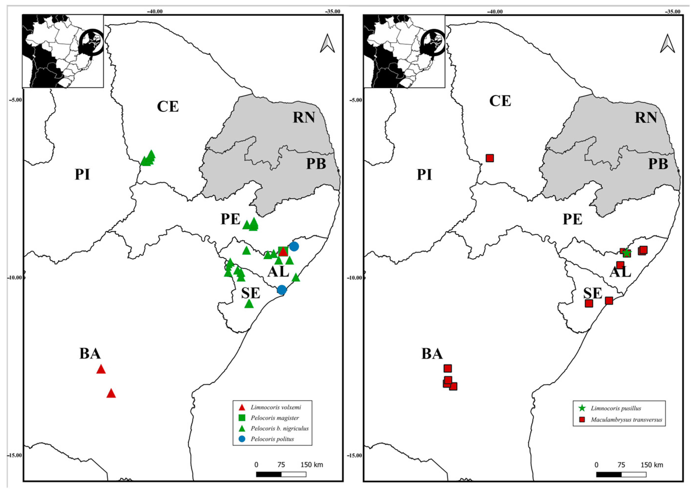 Insects 15 00383 g008