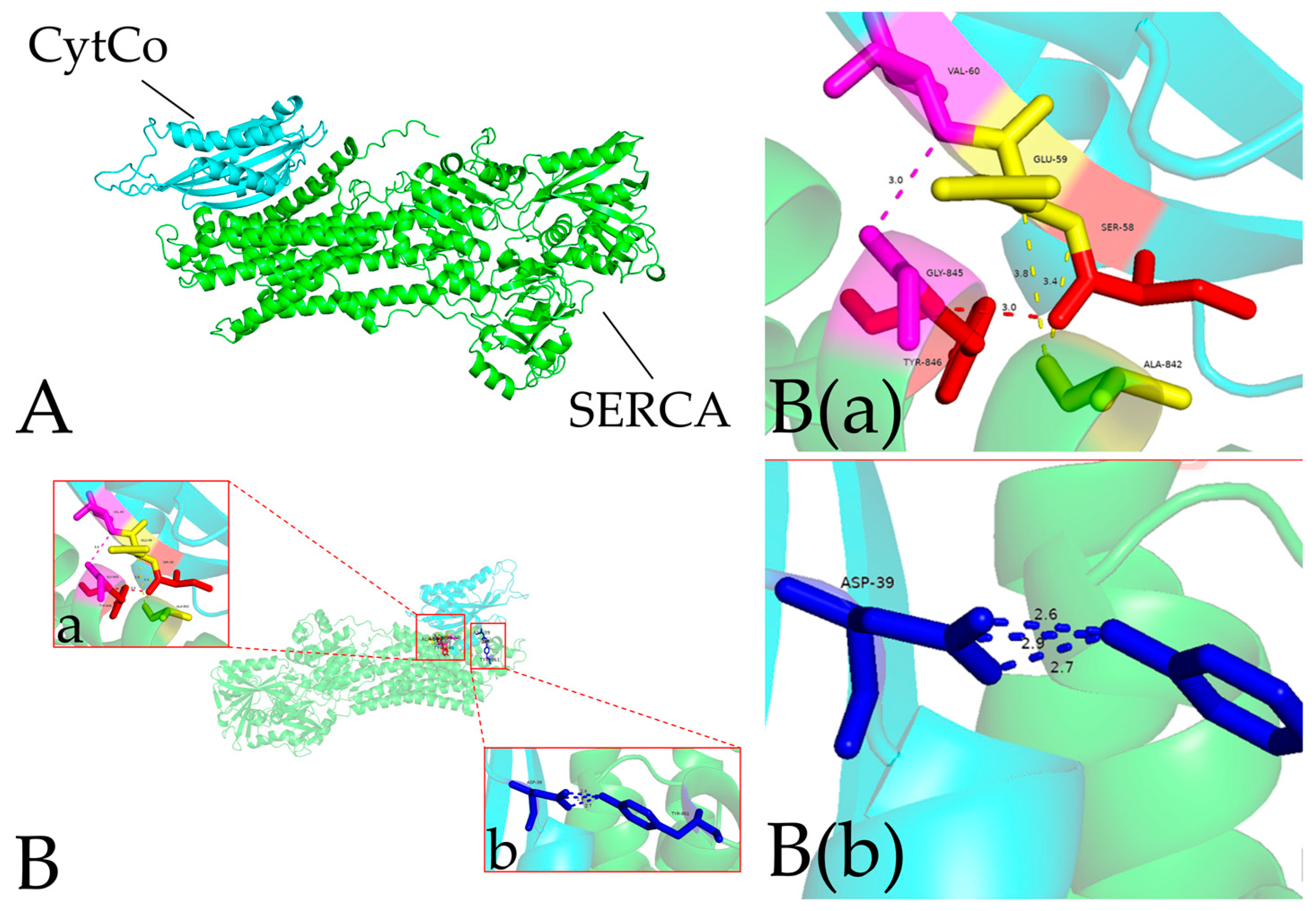 Insects 15 00388 g004