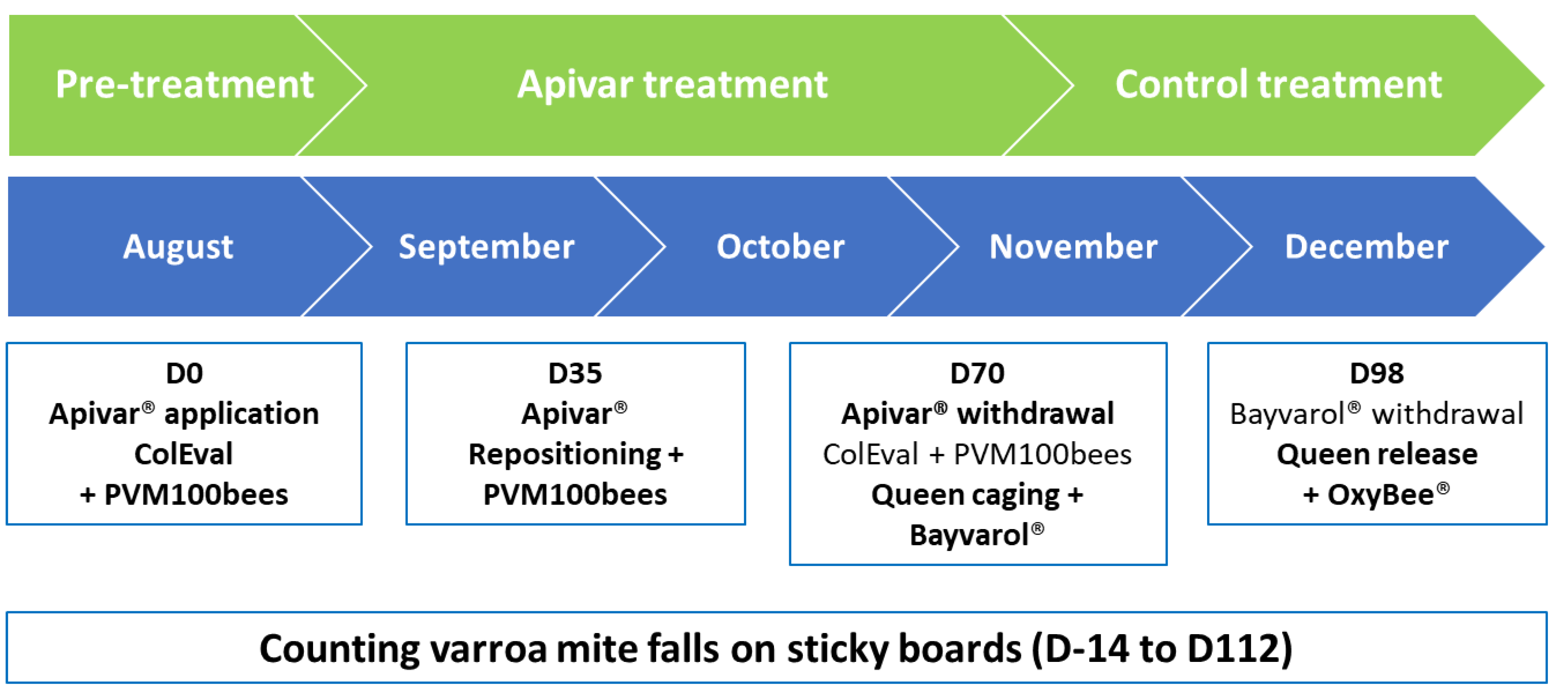 Insects 15 00390 g001