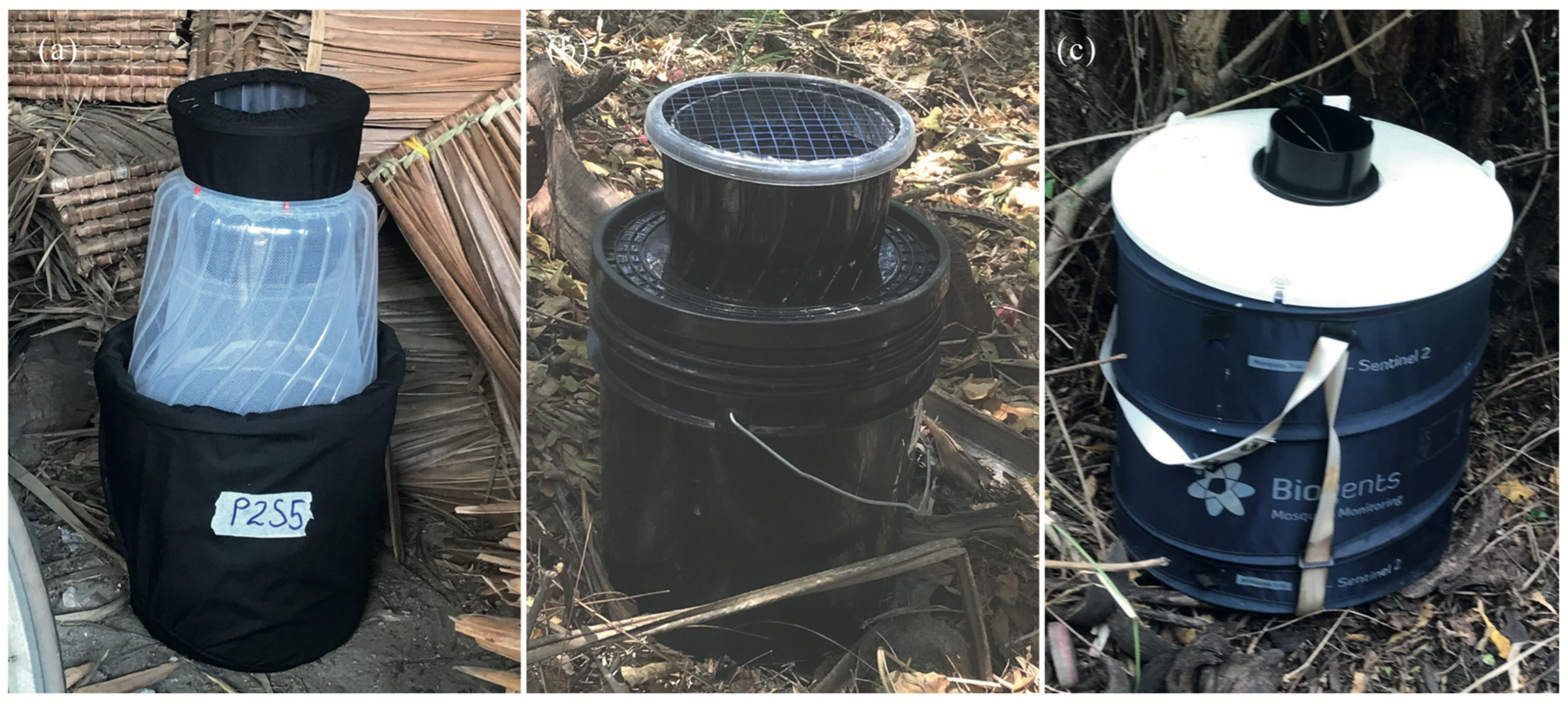 Insects 15 00401 g001