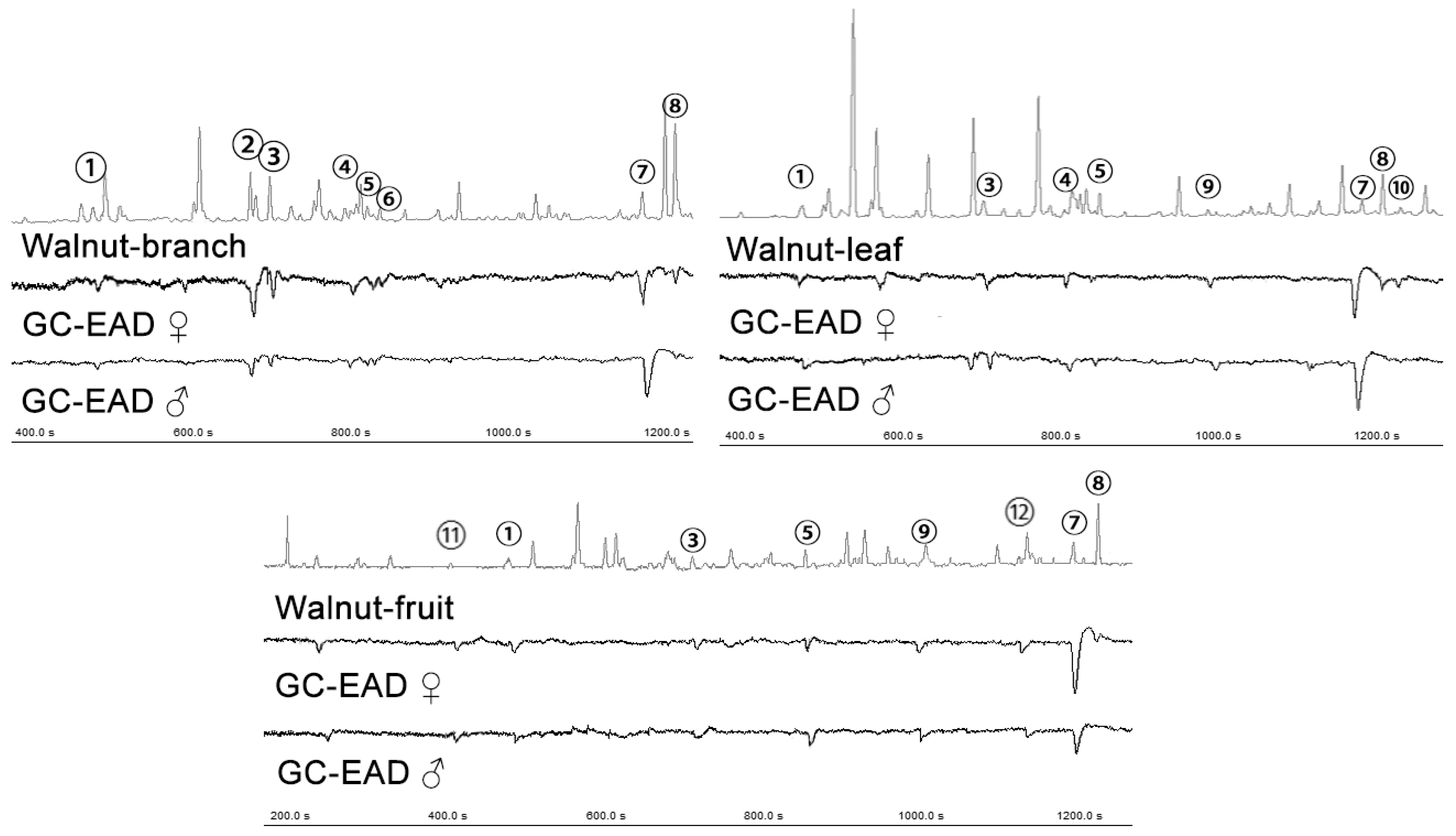 Insects 15 00402 g002