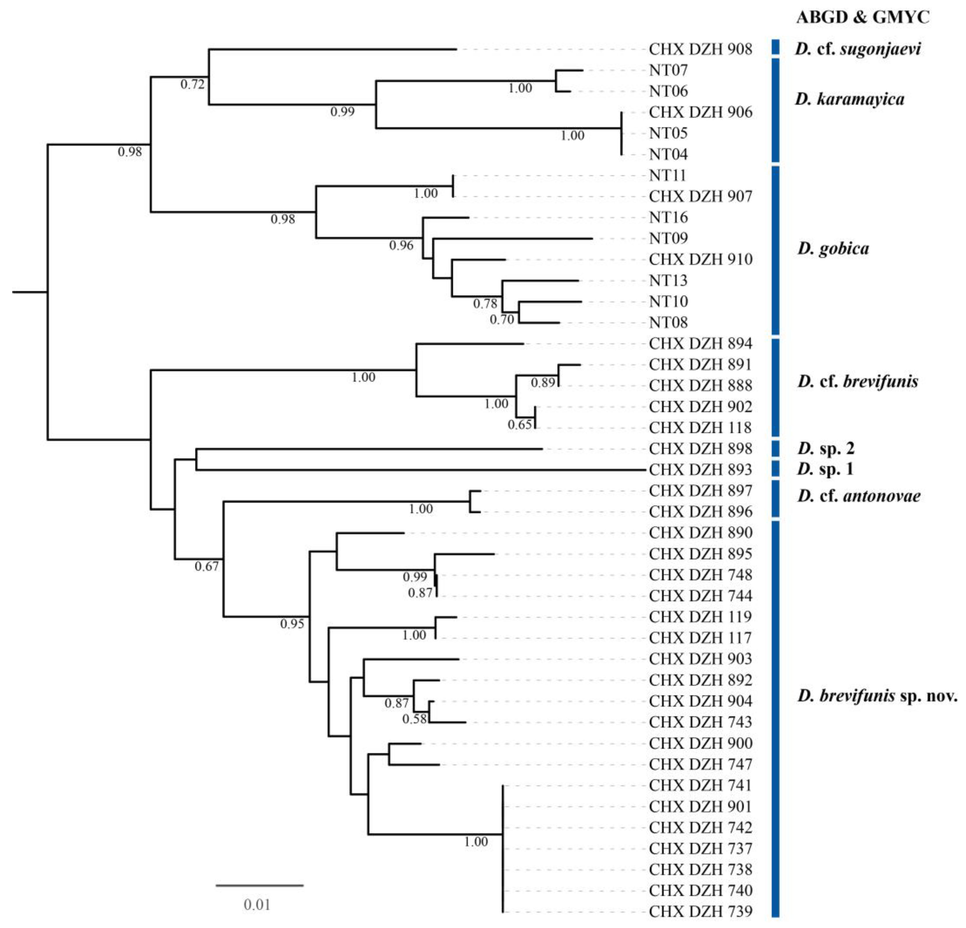 Insects 15 00406 g001