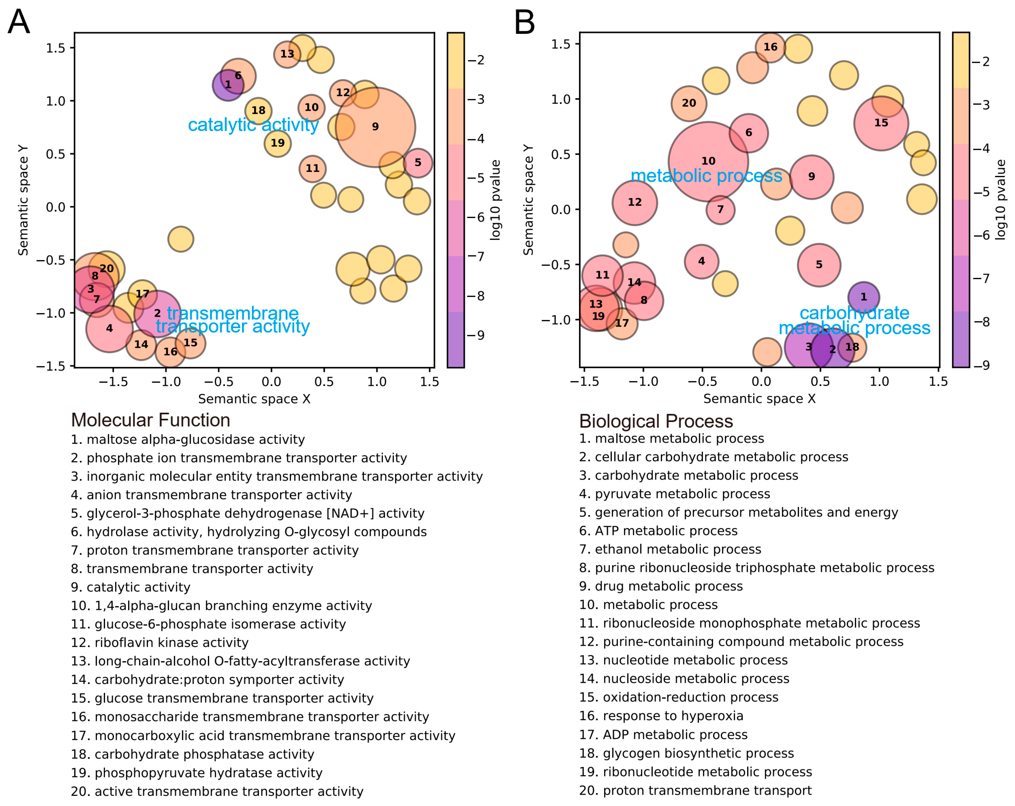 Insects 15 00407 g003