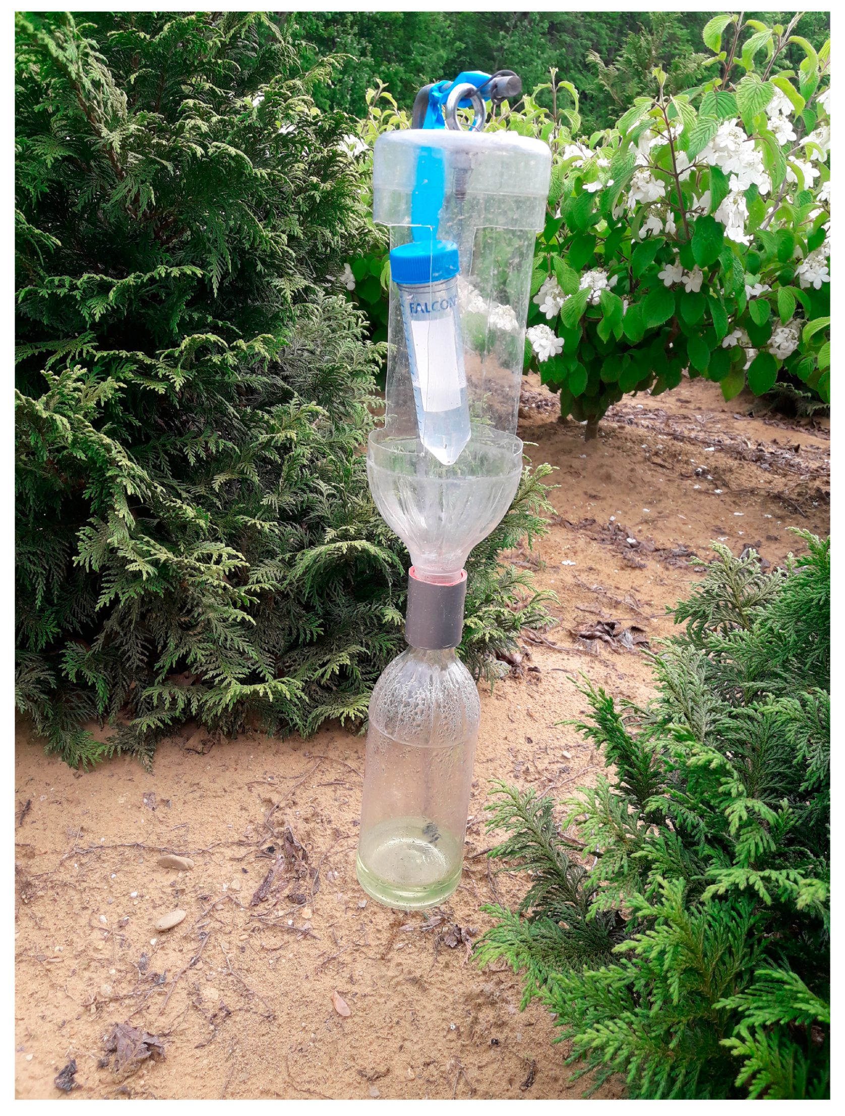 Insects 15 00408 g001