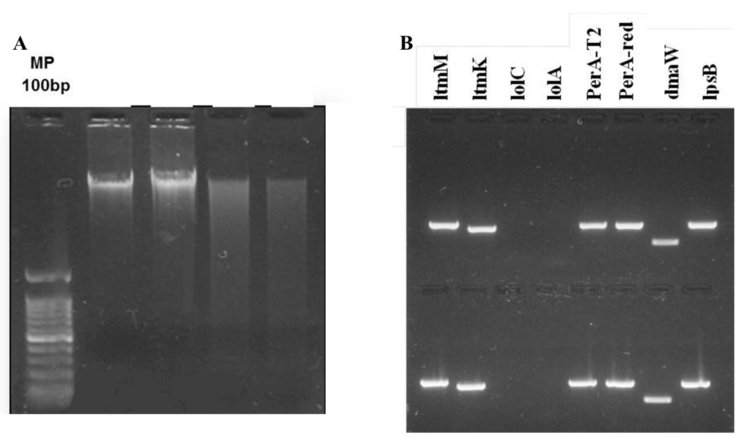 Insects 15 00410 g001