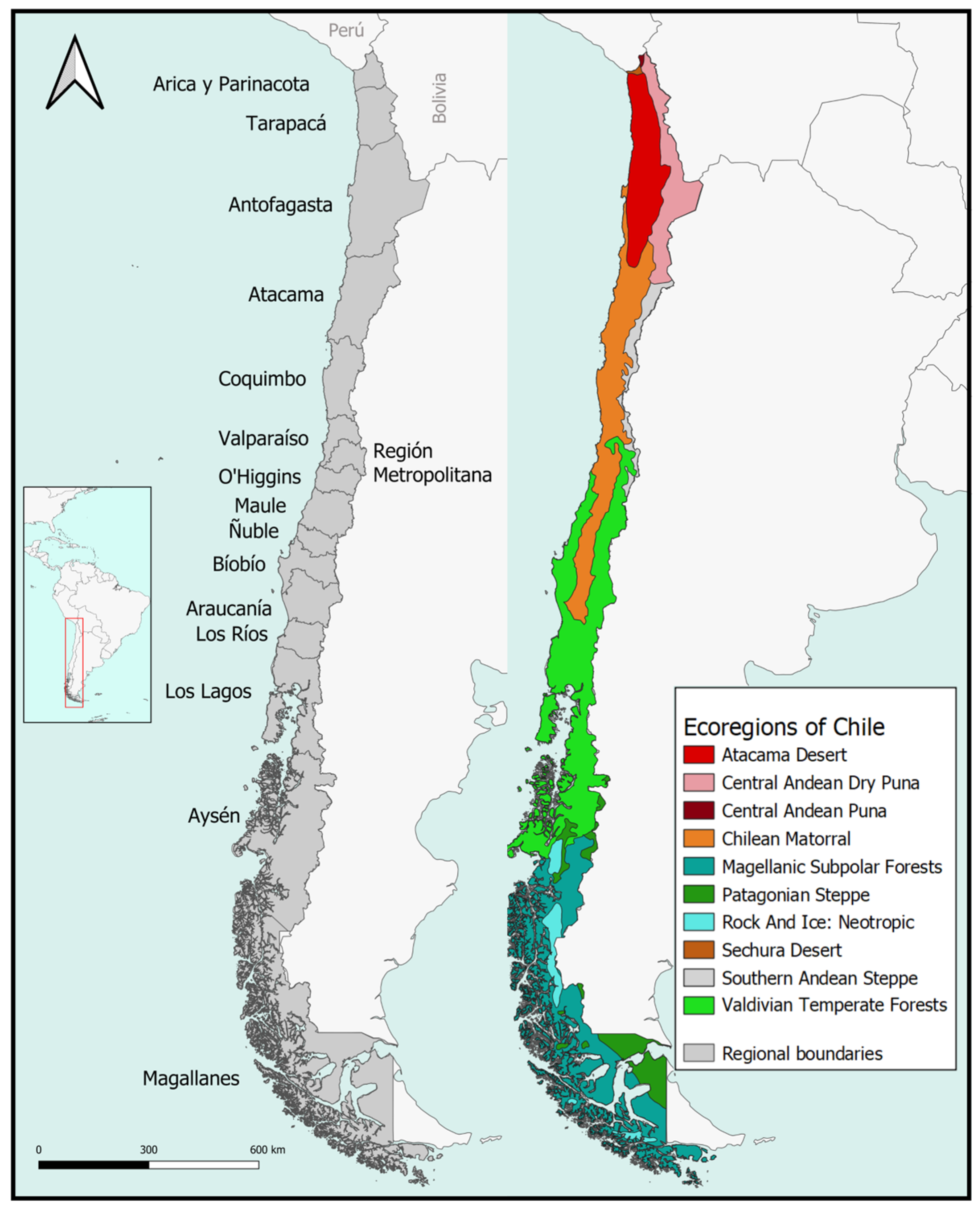 Insects 15 00415 g002