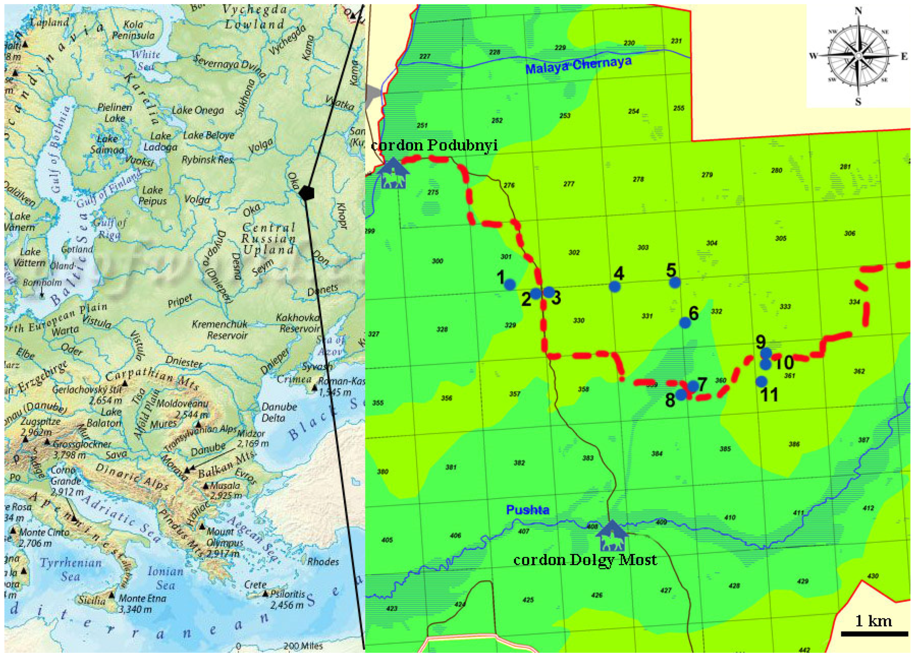 Insects 15 00420 g001