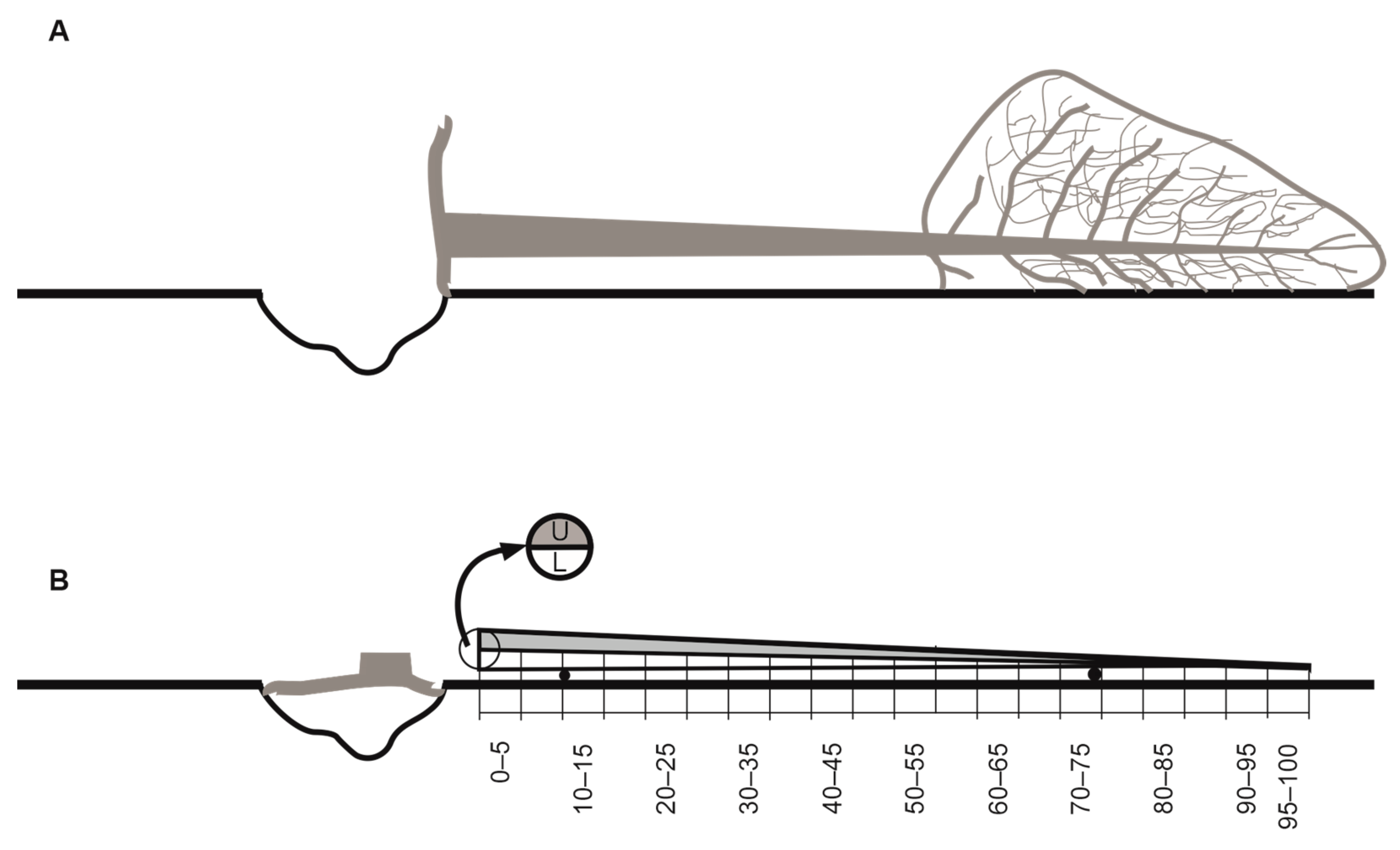 Insects 15 00422 g001