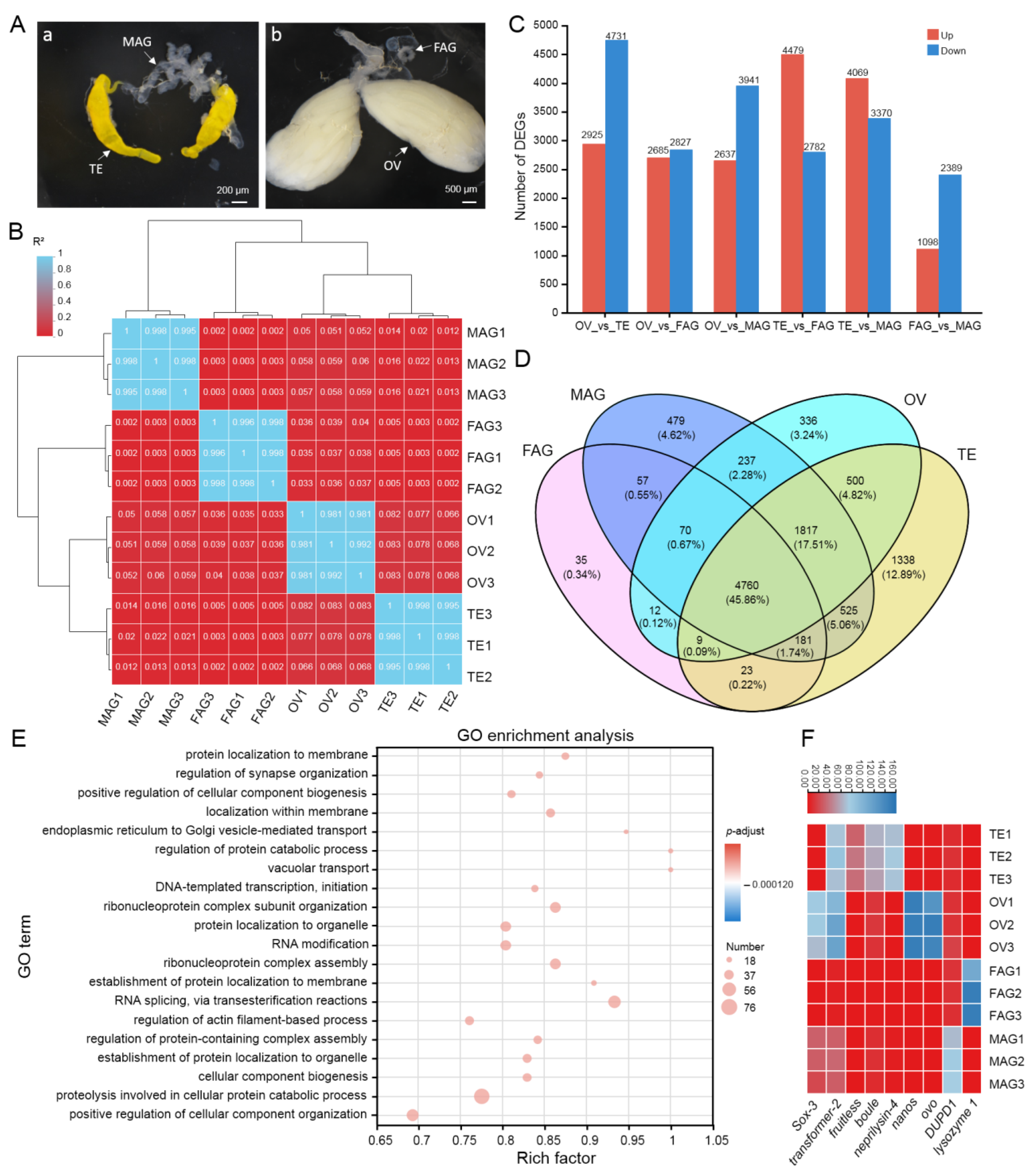 Insects 15 00424 g001