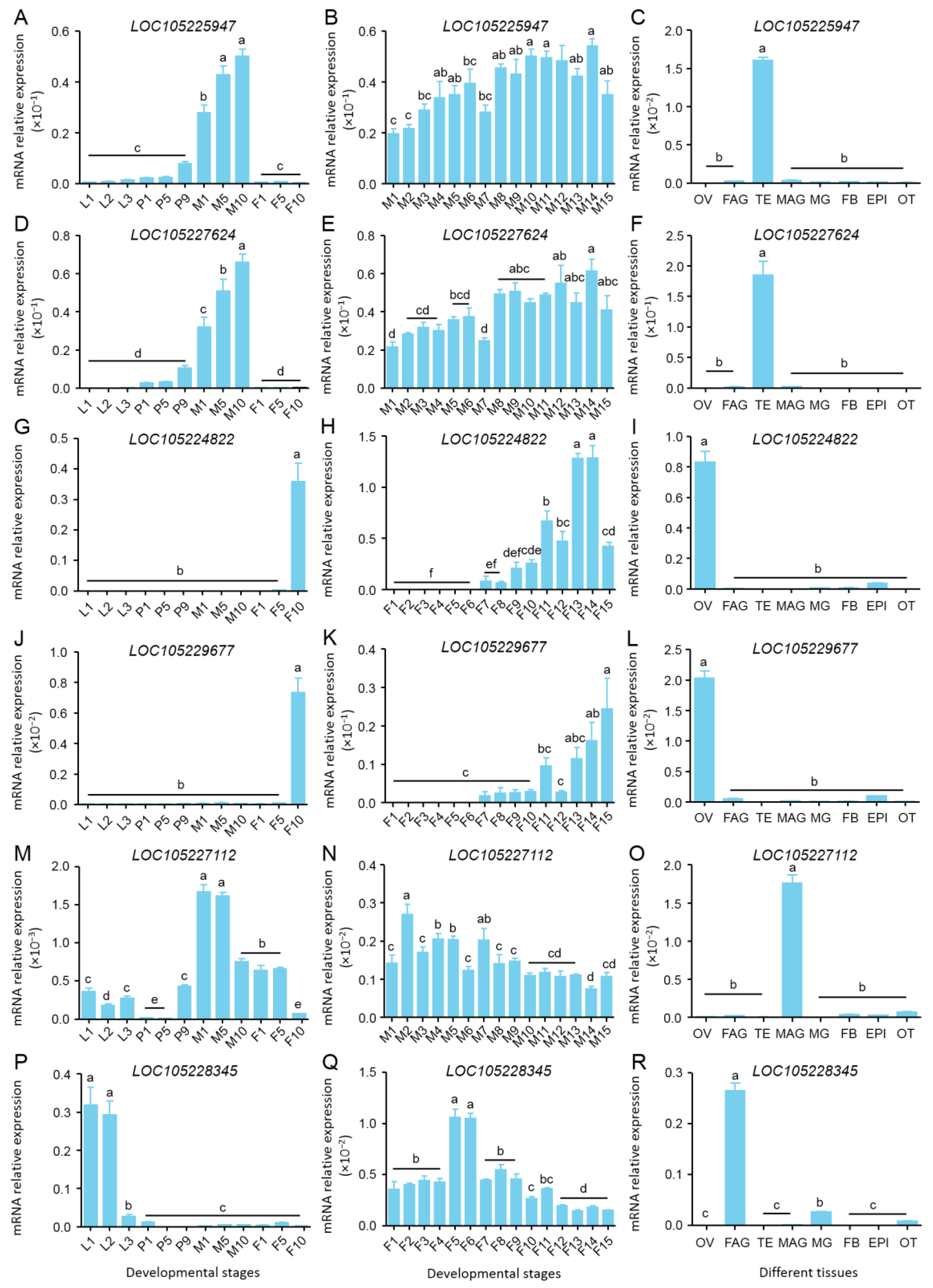 Insects 15 00424 g004