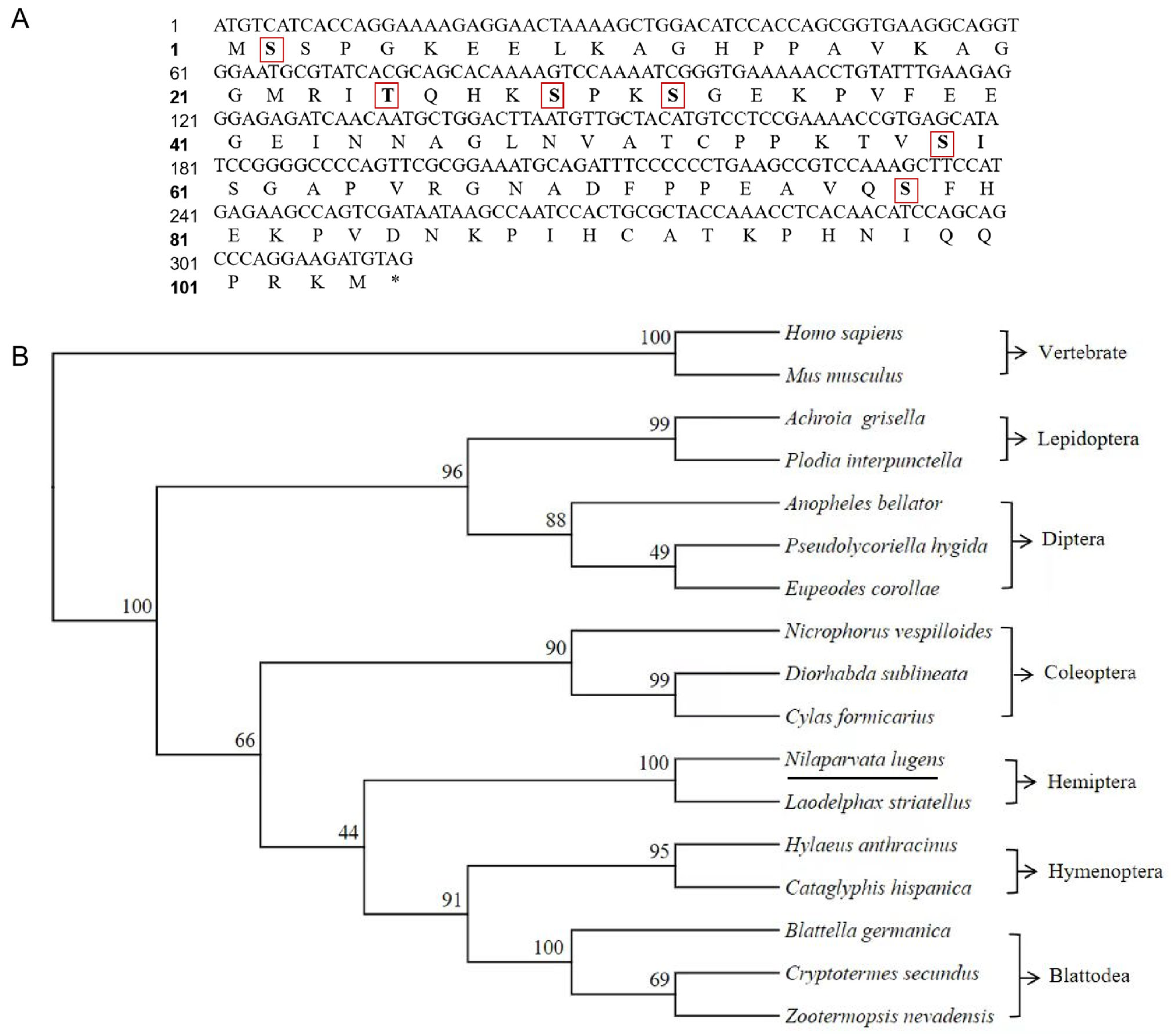 Insects 15 00425 g001