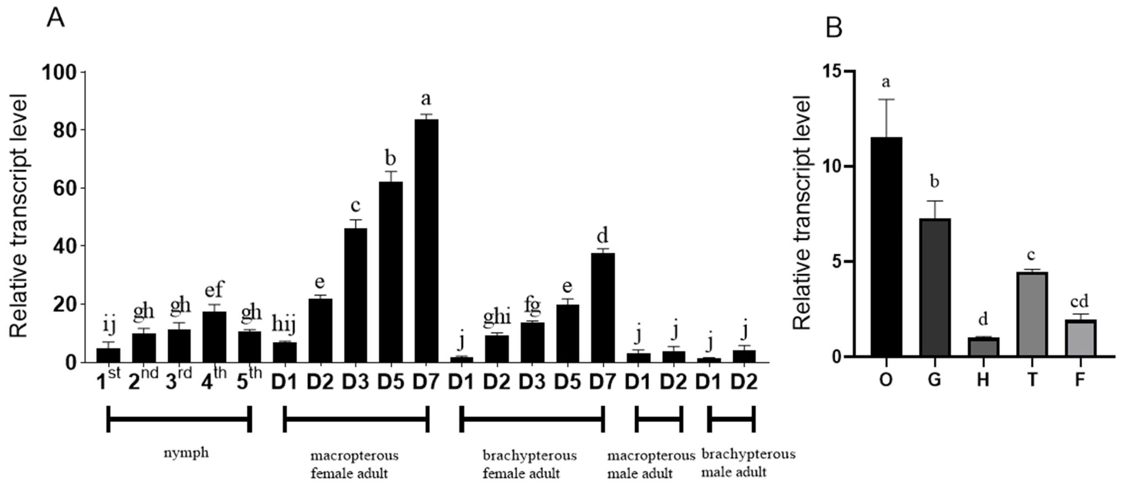 Insects 15 00425 g002