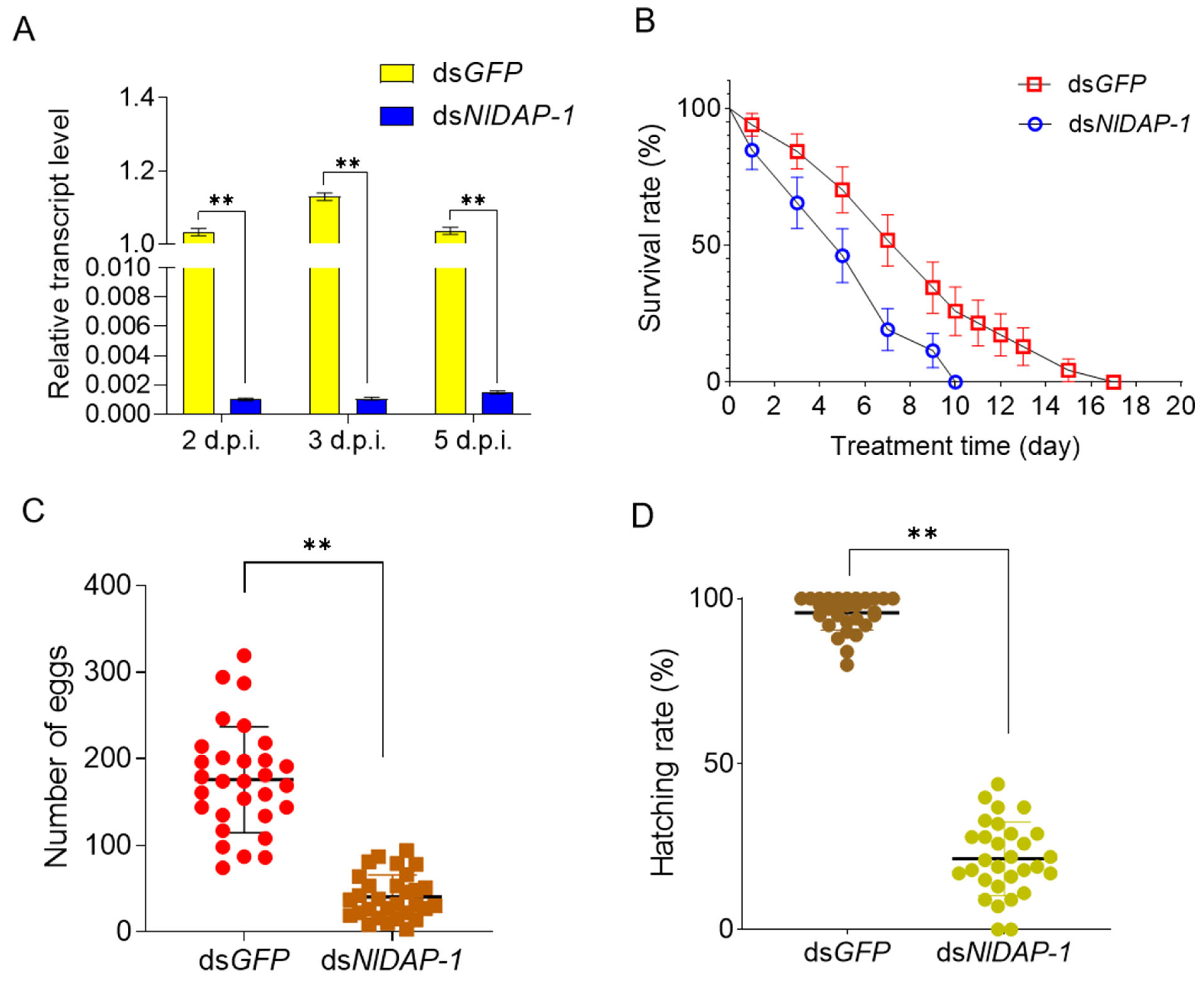 Insects 15 00425 g004