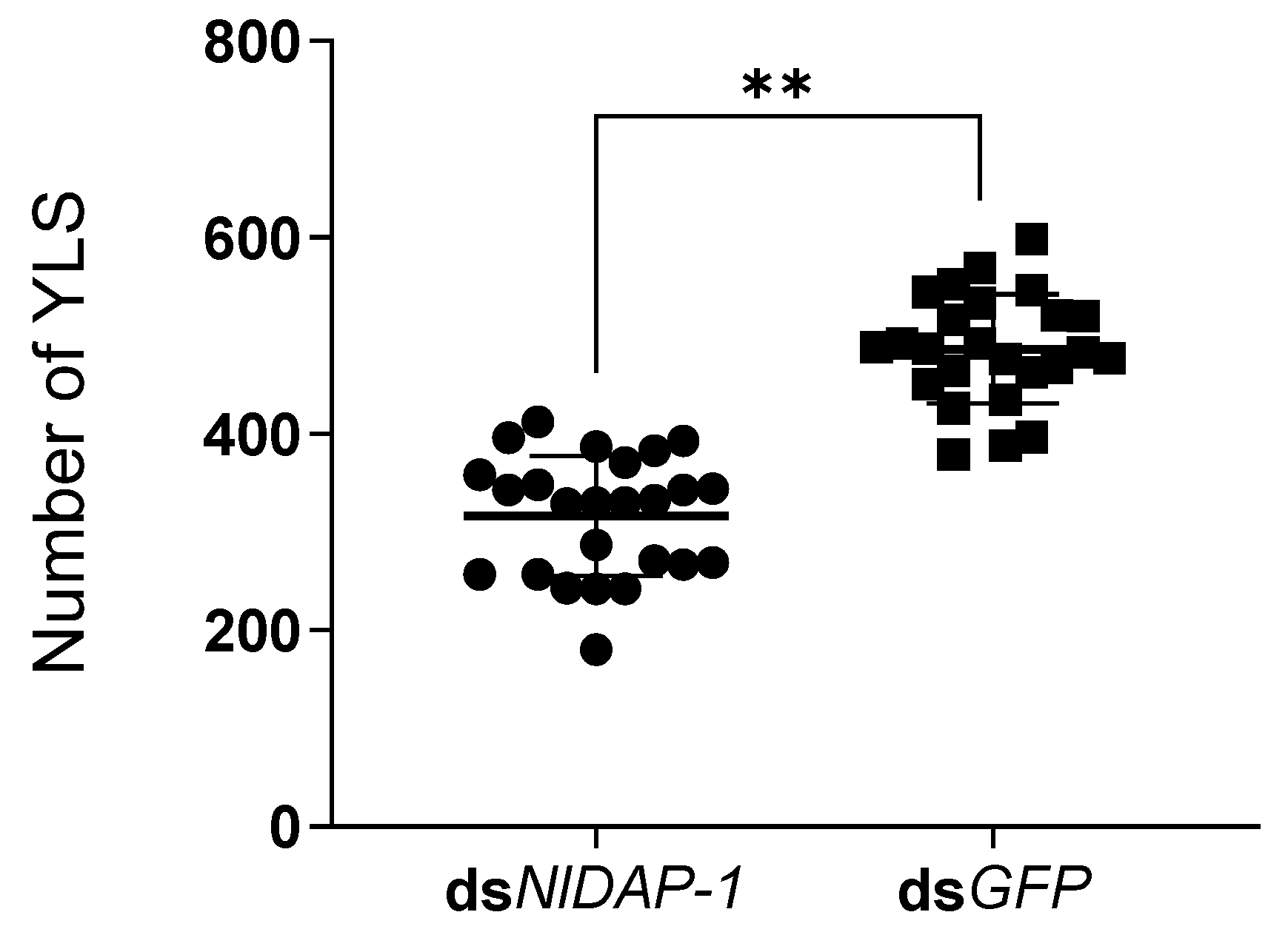 Insects 15 00425 g006
