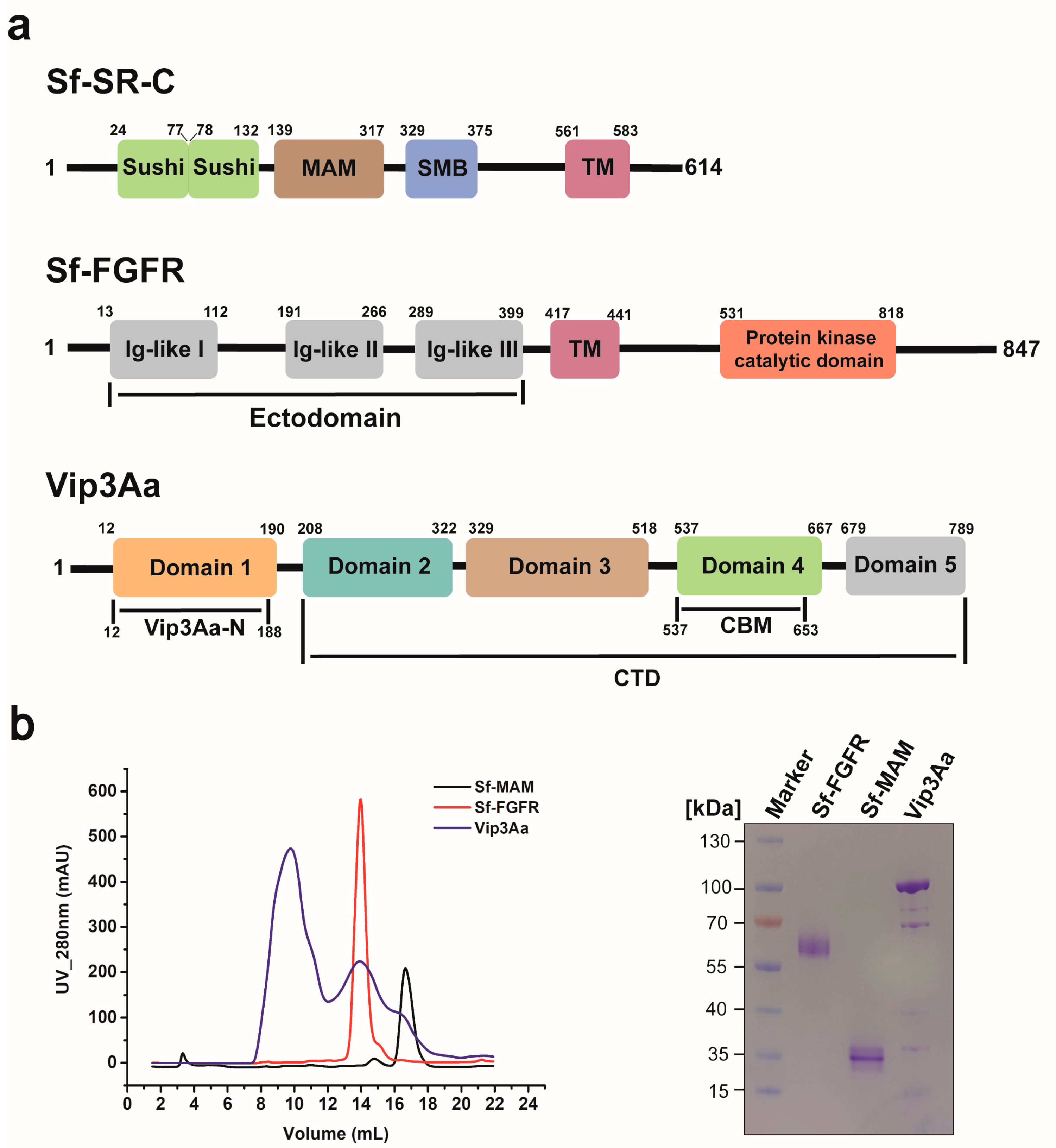 Insects 15 00428 g001