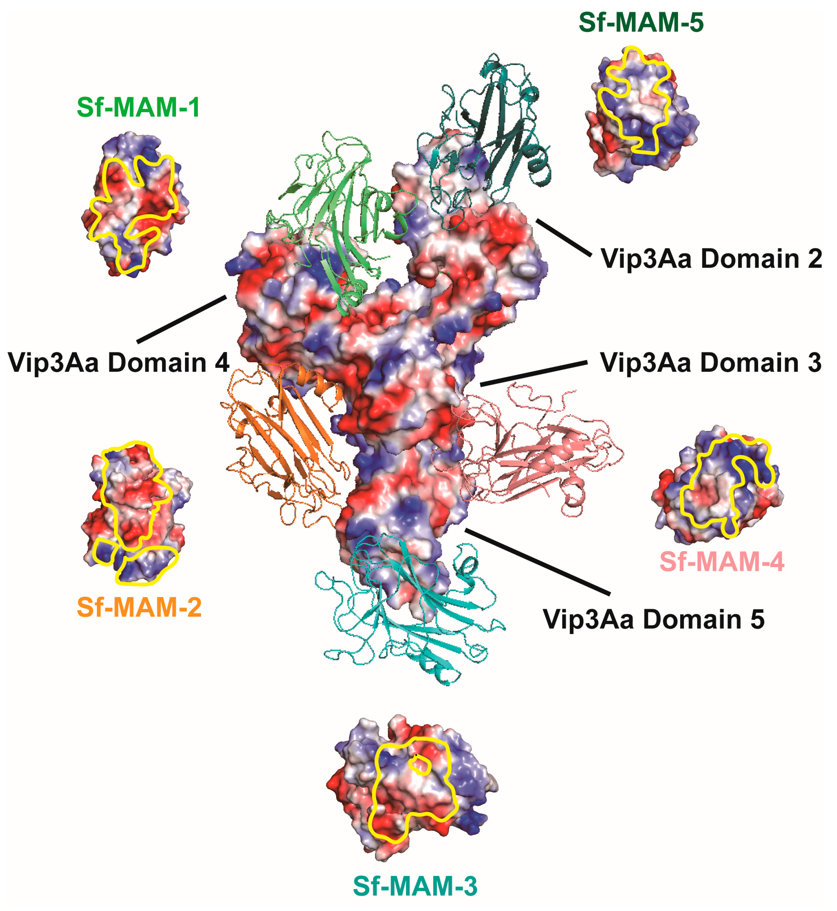 Insects 15 00428 g003