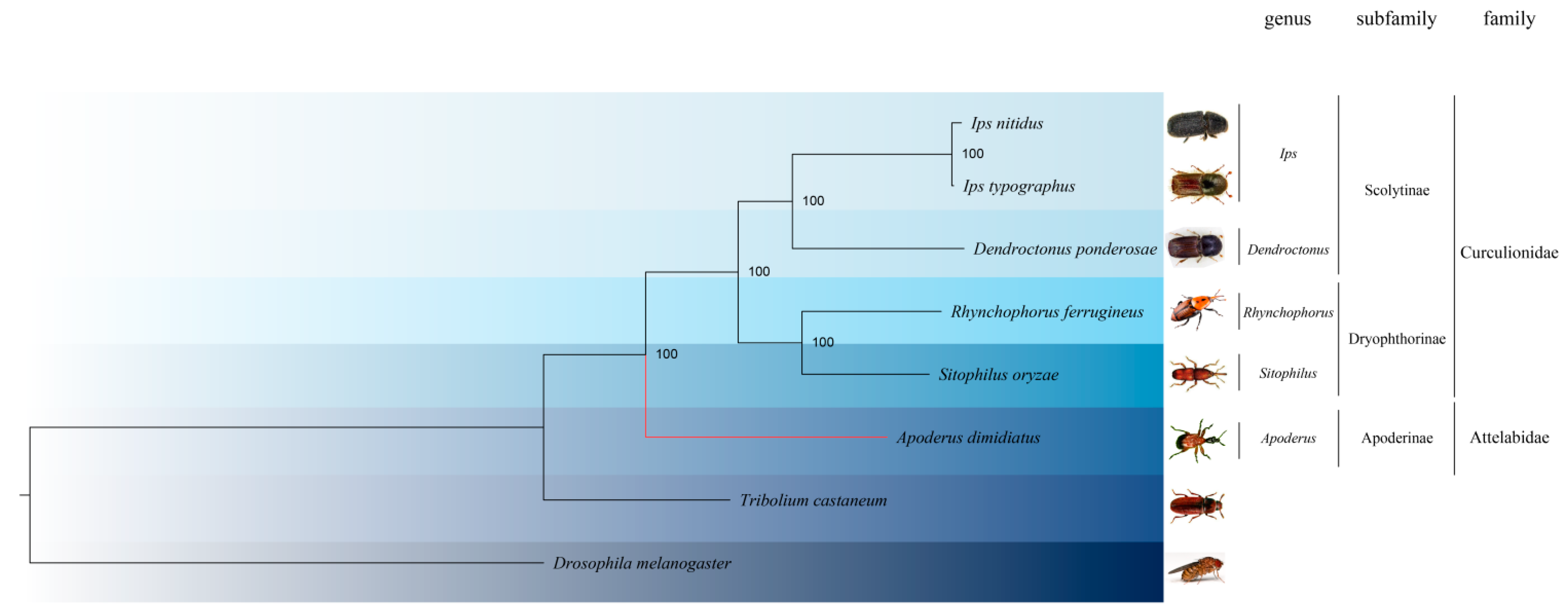 Insects 15 00431 g002