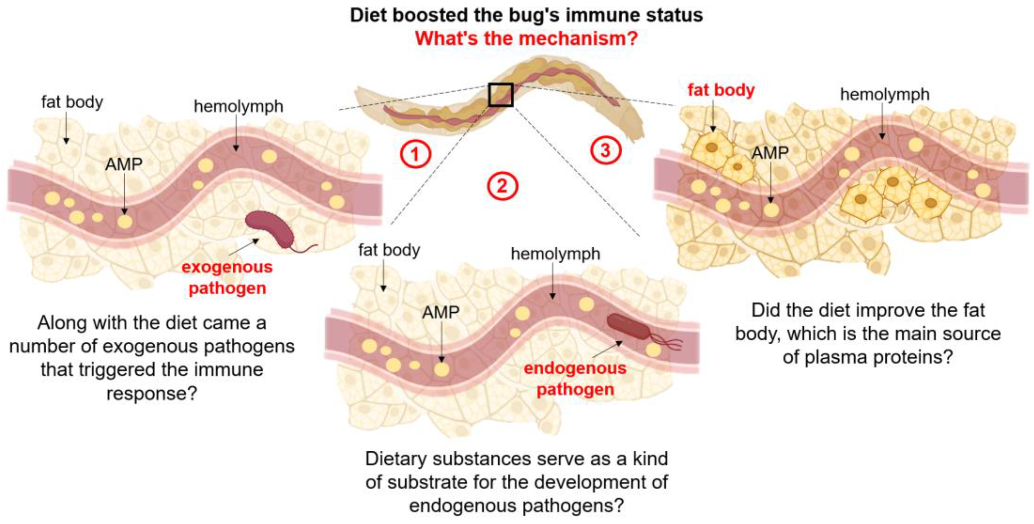Insects 15 00435 g007