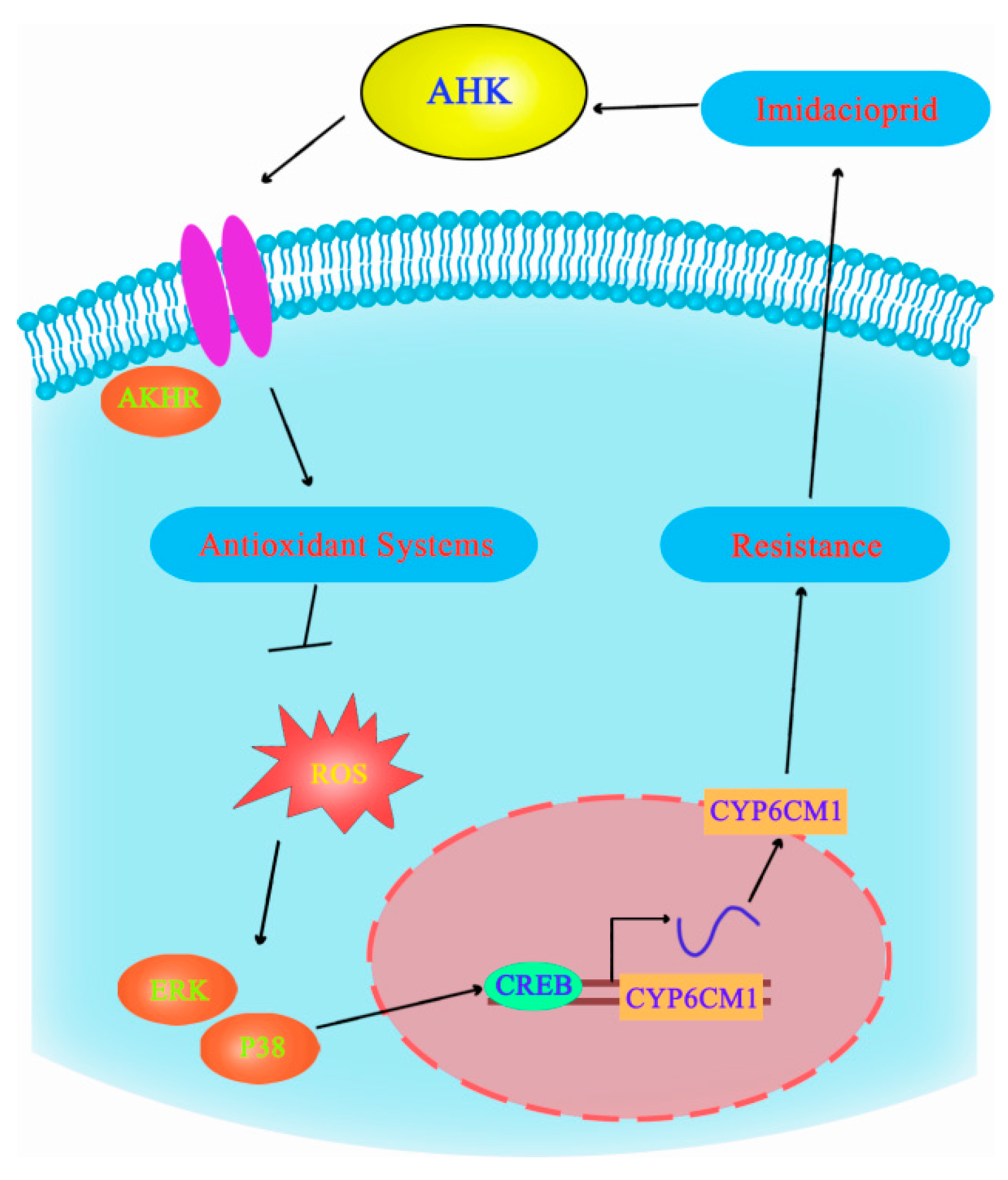 Insects 15 00436 sch001