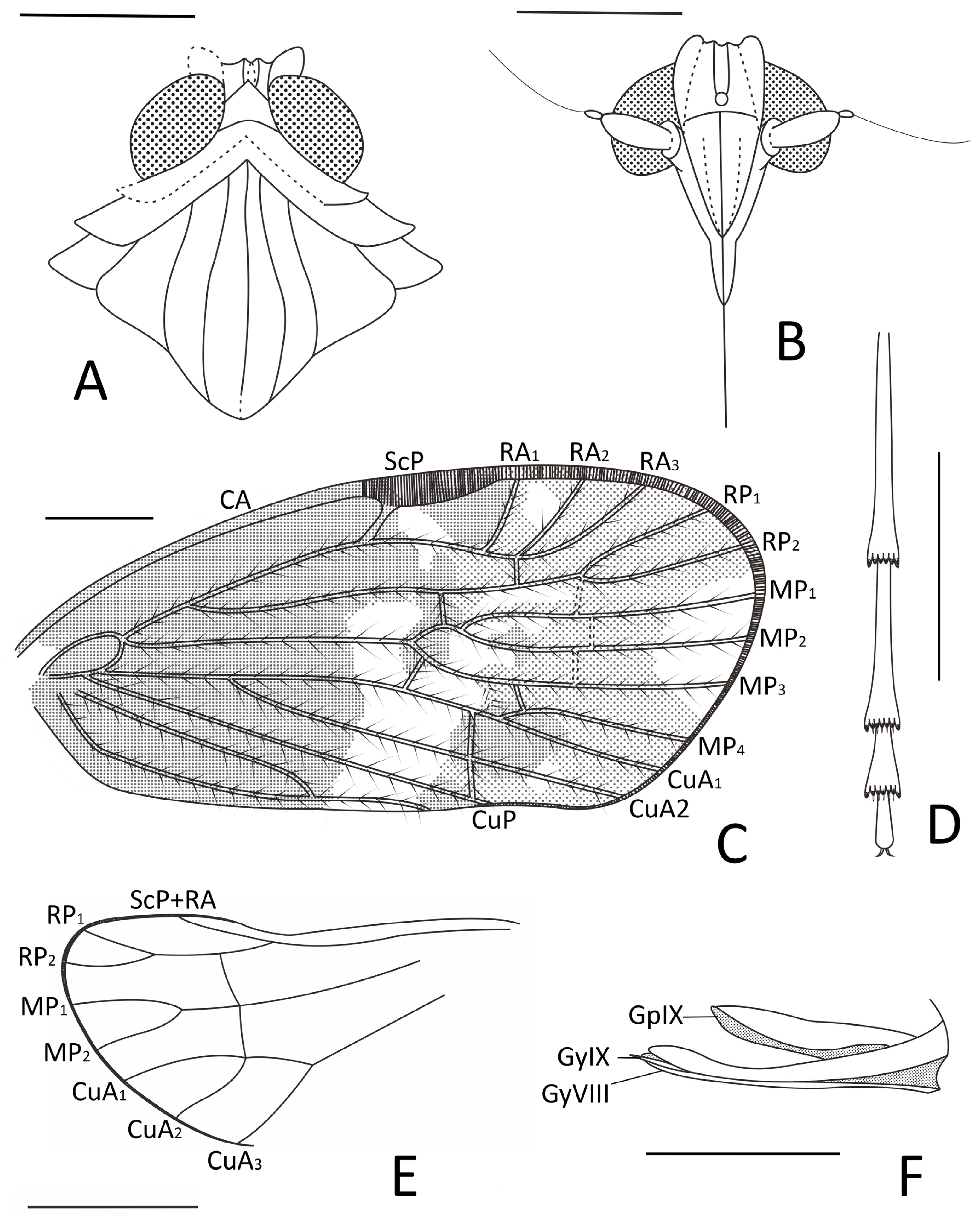 Insects 15 00439 g006