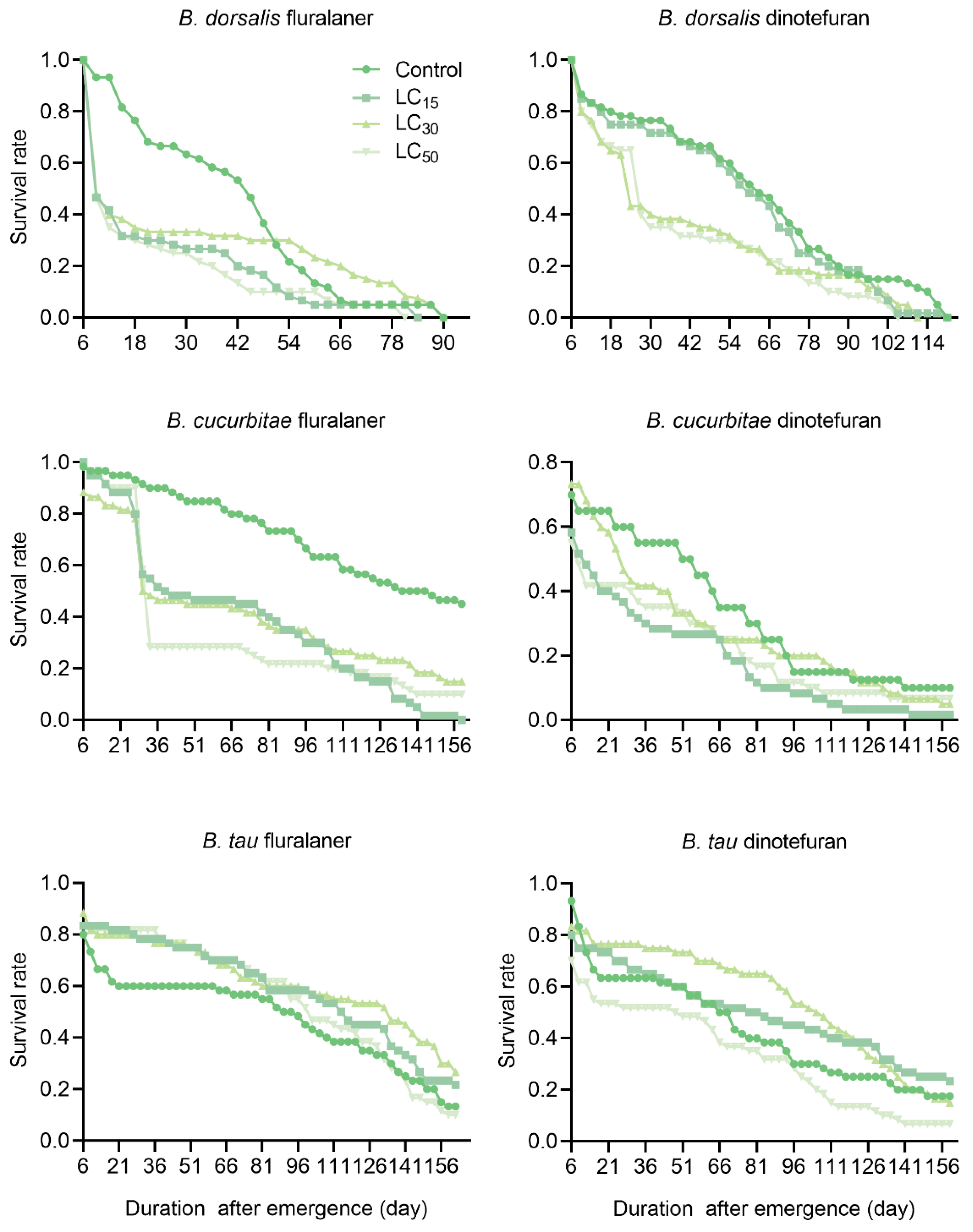 Insects 15 00440 g001
