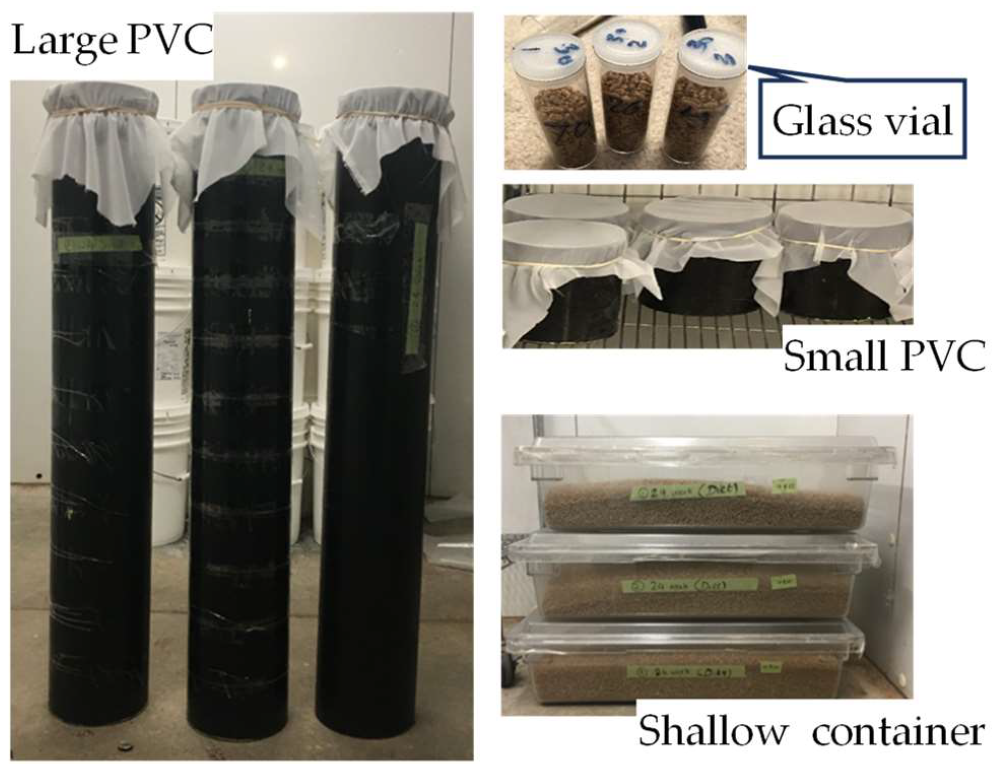 Insects 15 00441 g001