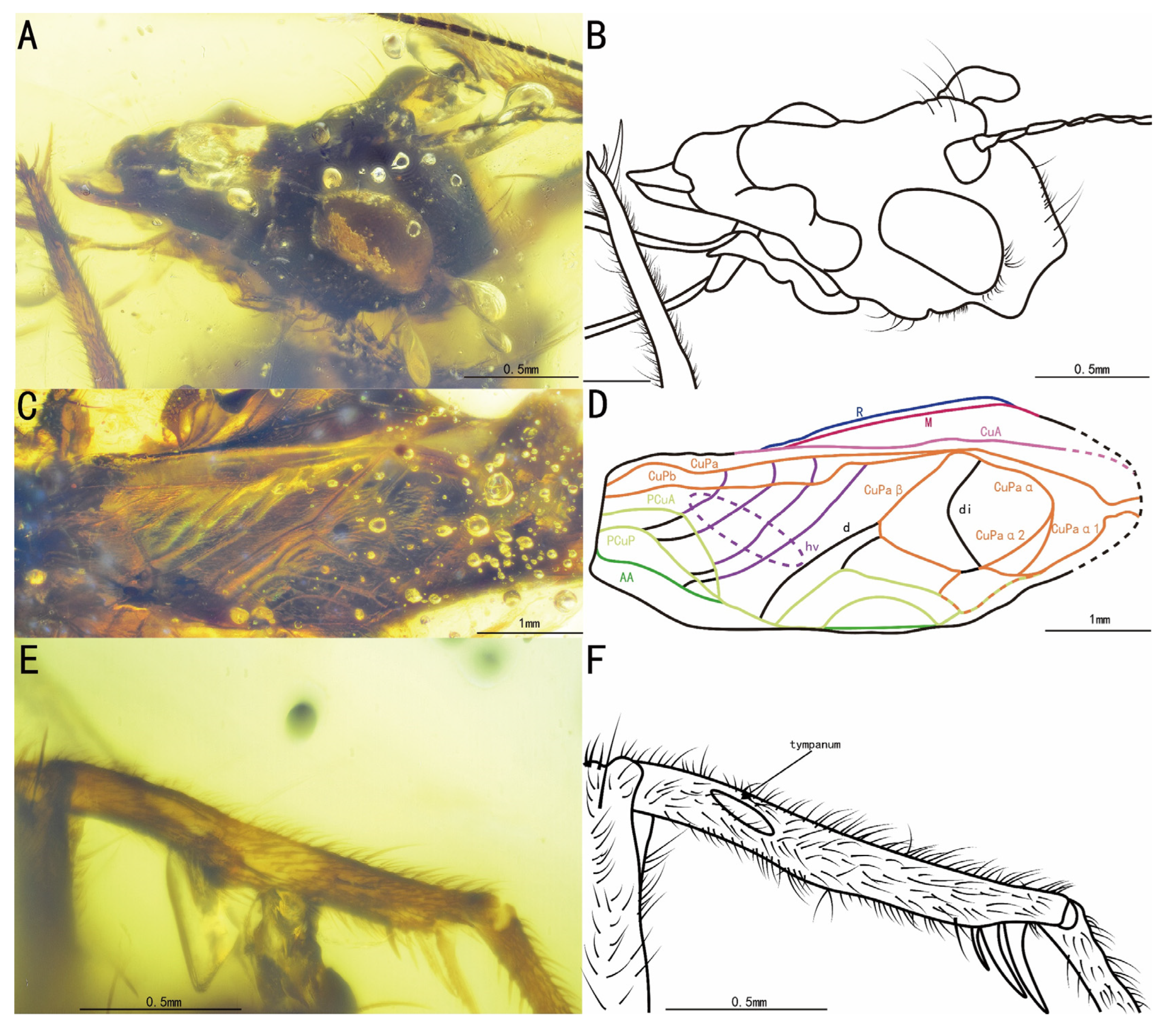 Insects 15 00442 g007