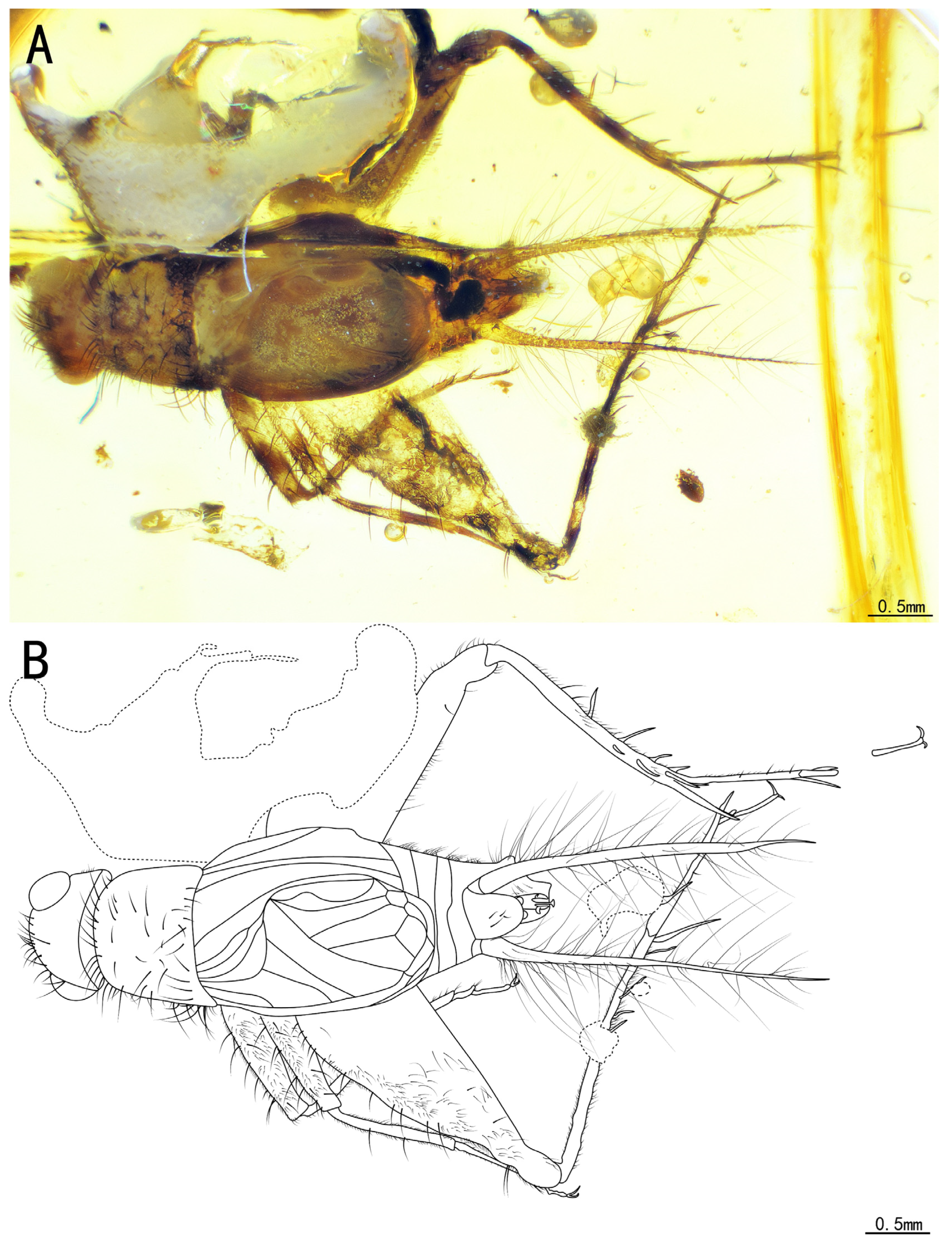 Insects 15 00442 g008